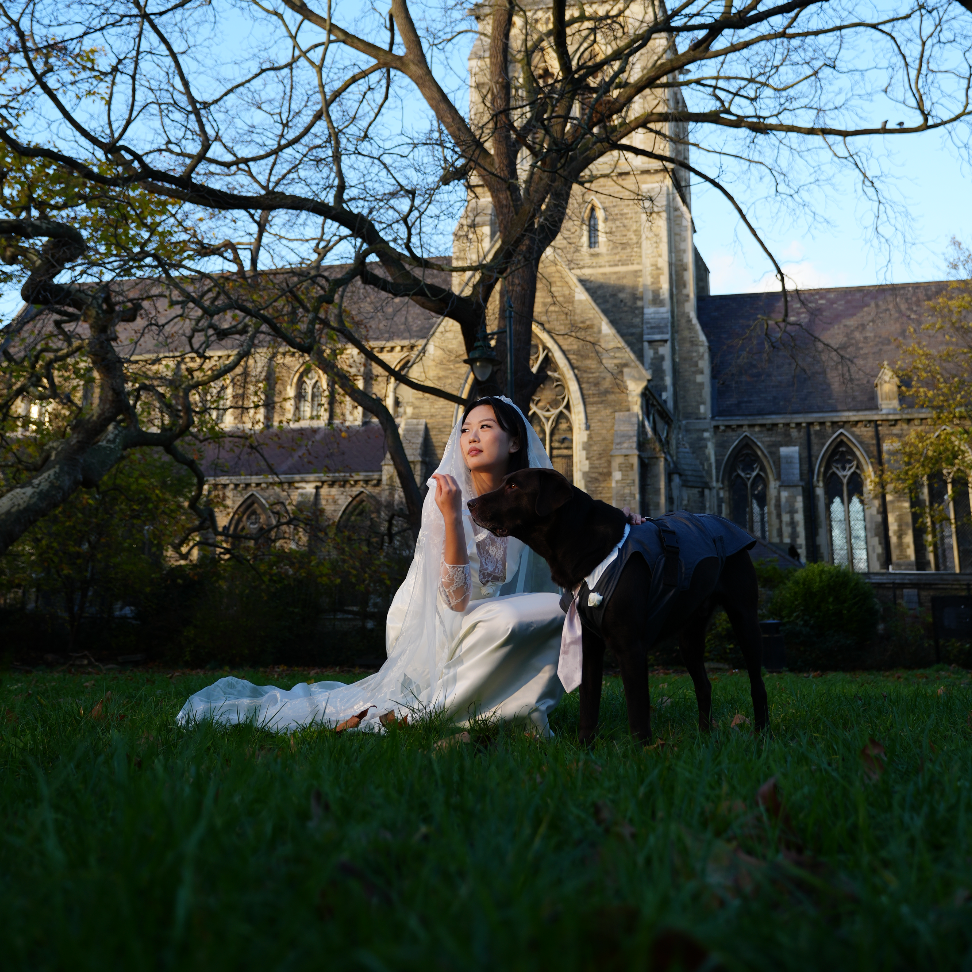 You May Now Kiss the Dog