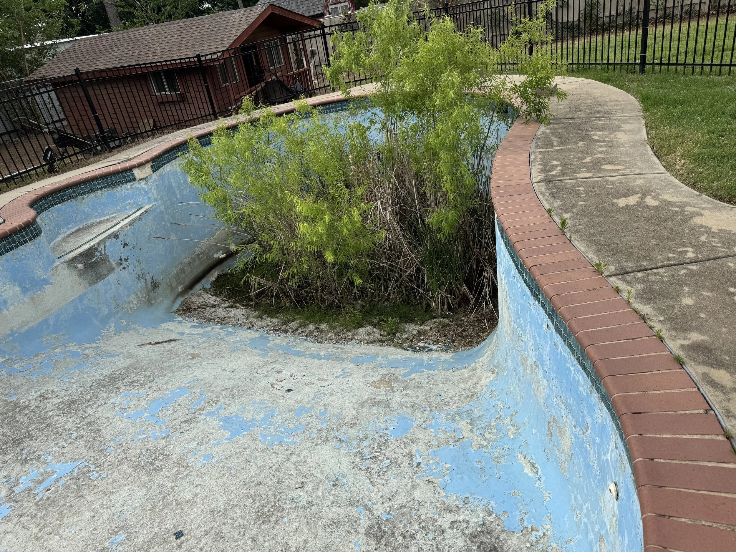 IMG_2656.jpeg