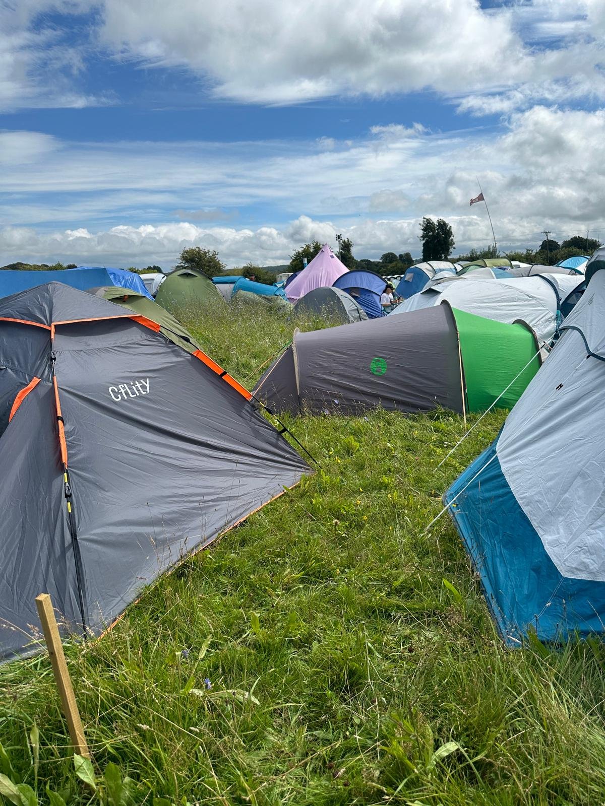 Camping field.jpeg