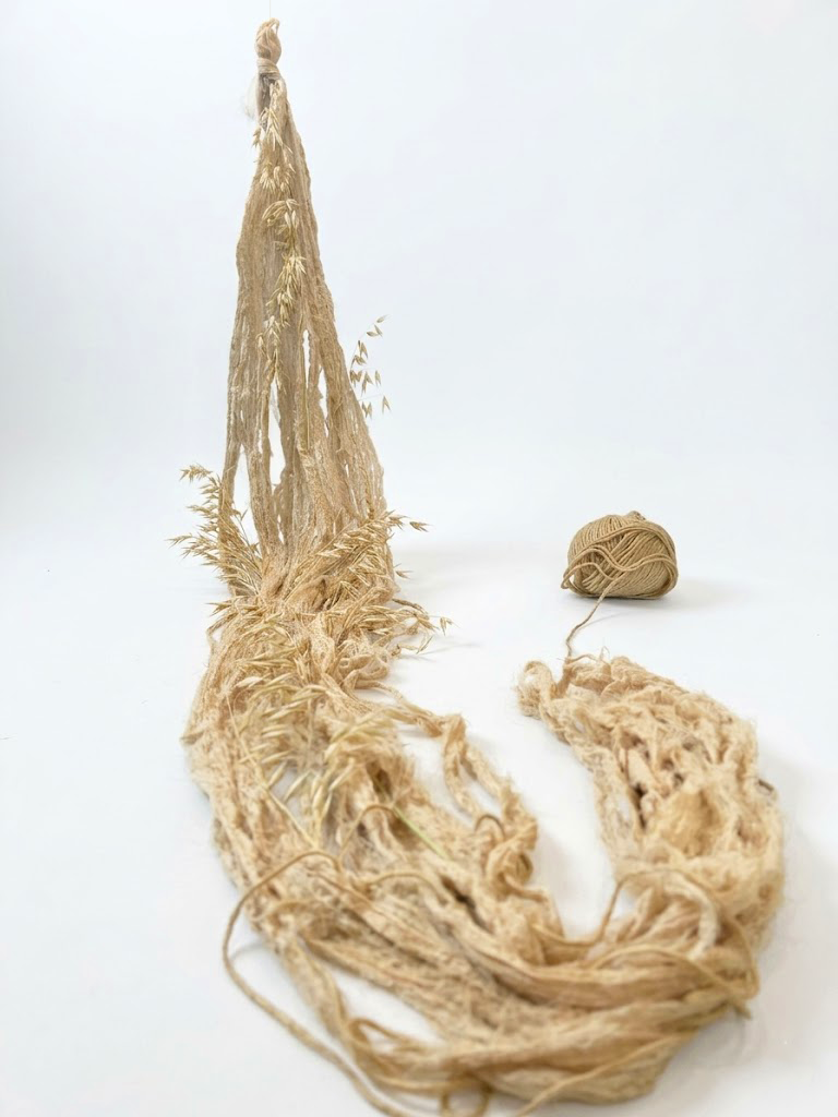 The Return to the Root