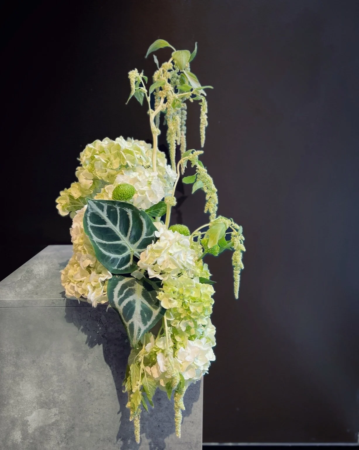 E6854A00-2148-4095-B4F0-31832F296461 2.JPEG