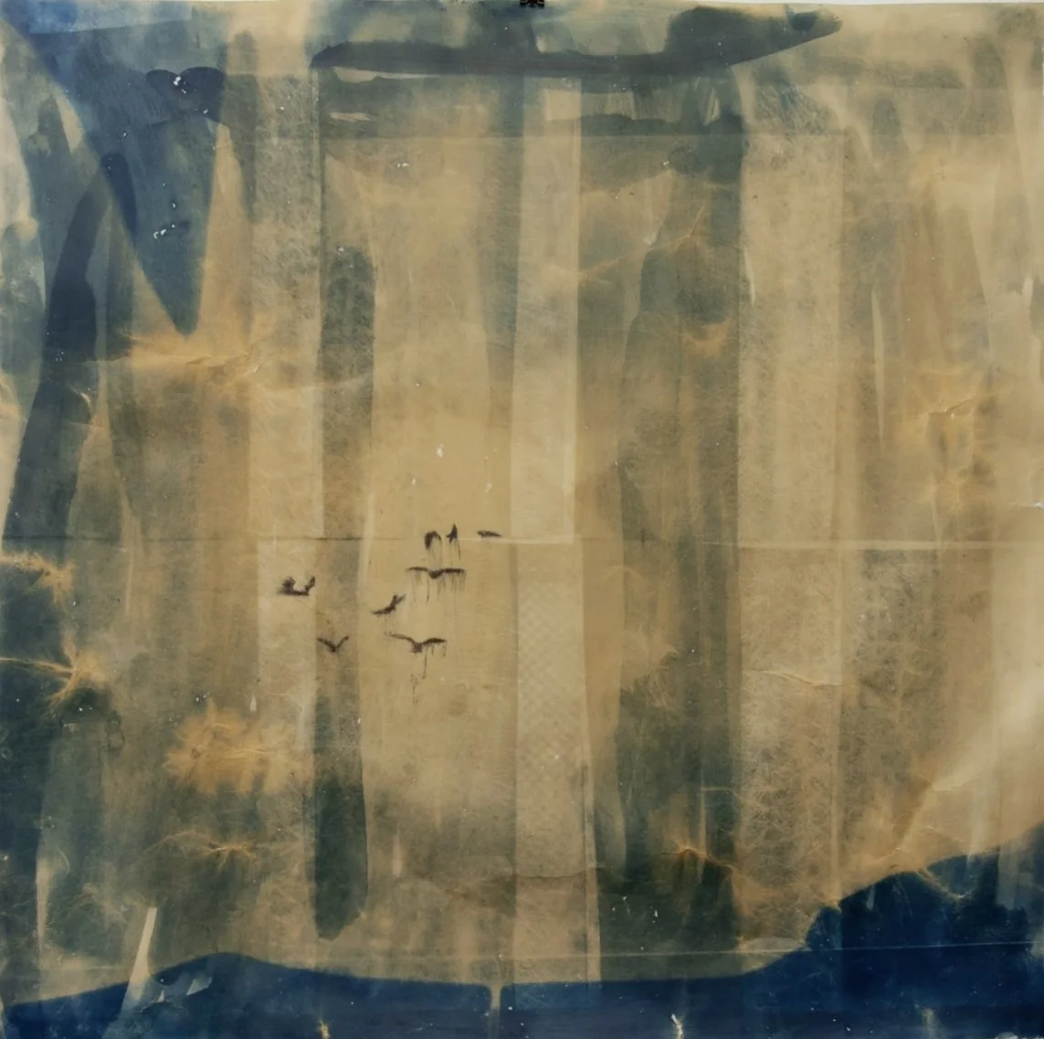 Cicatrizes são poemas, 2025
—
Cianotipia, chá preto e carvão sobre papel
70x80cm