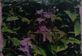 Sem Título, 2025
—
Transferência e e tinta acrílica sobre tela
30x20cm