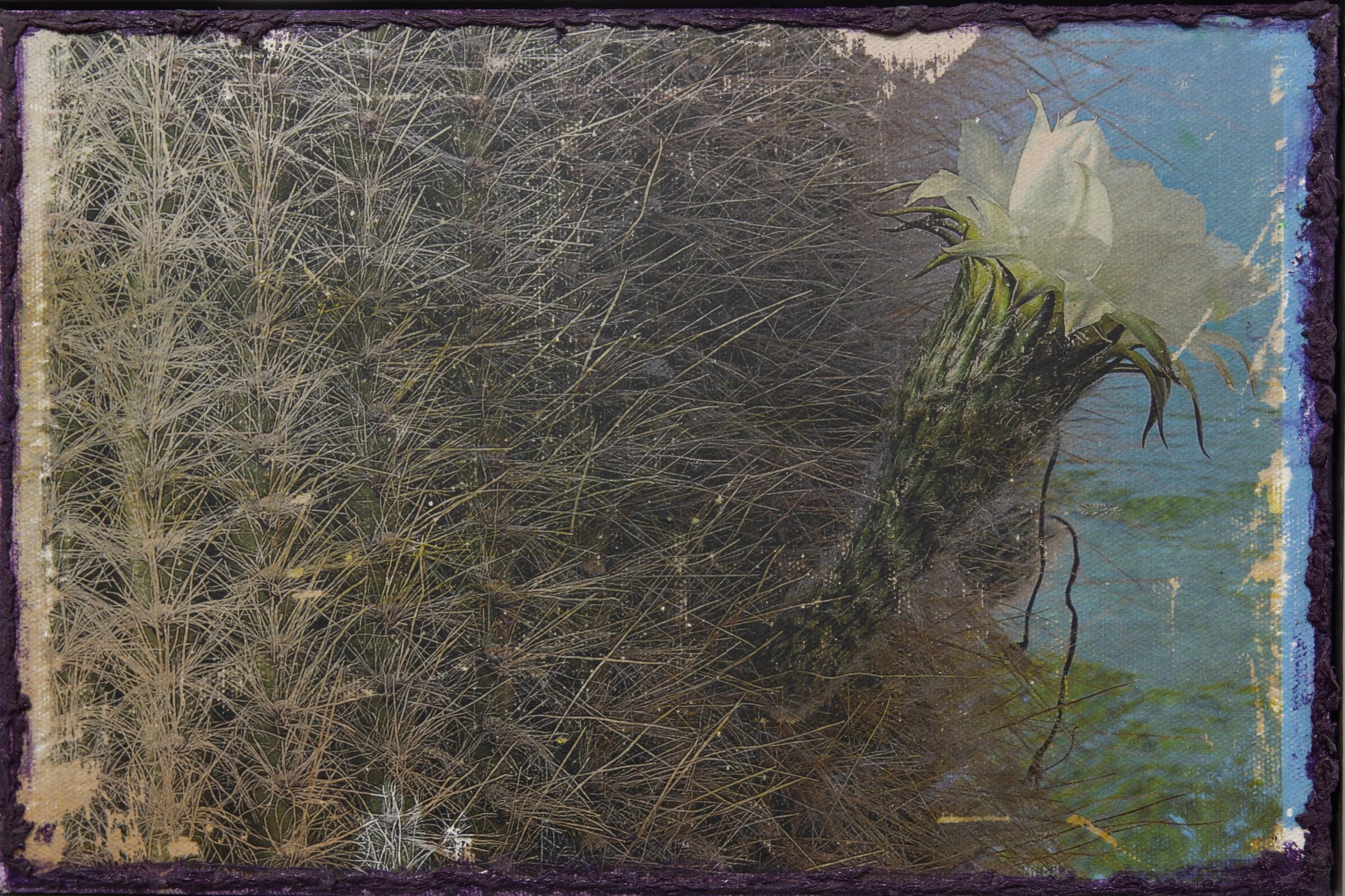 Diamante, 2025
—
Transferência de fotografia e tinta acrílica e pastel oleoso sobre tela
31,5 x 21,5 cm