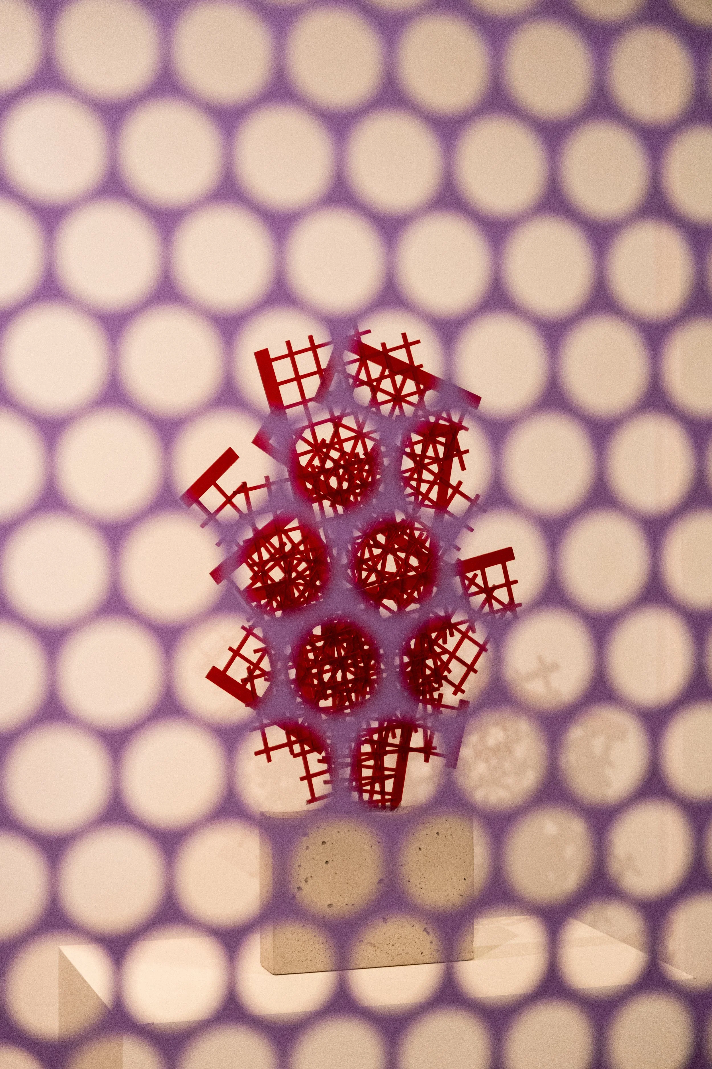 Cópia de DSCF2822.JPG