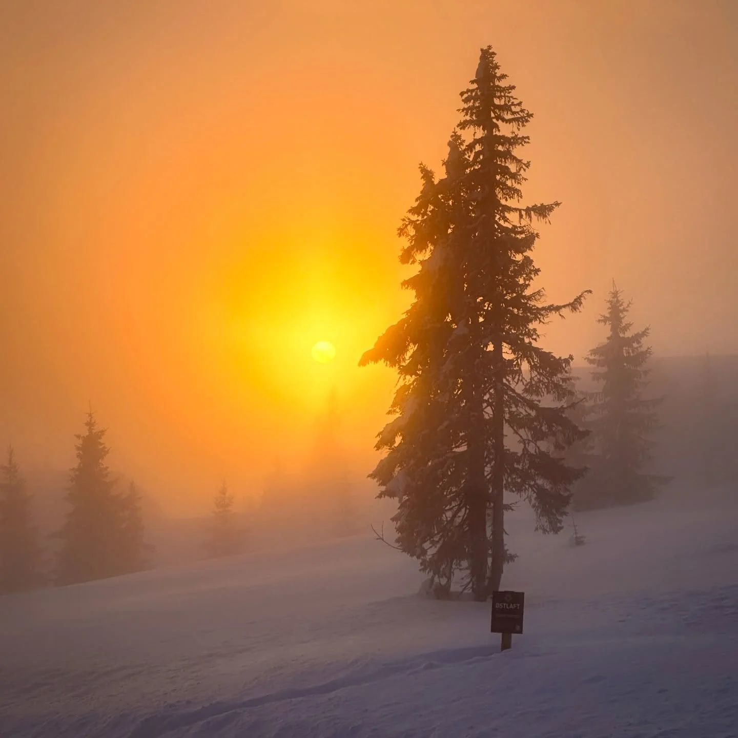 Ventured a little further north this winter 🇳🇴