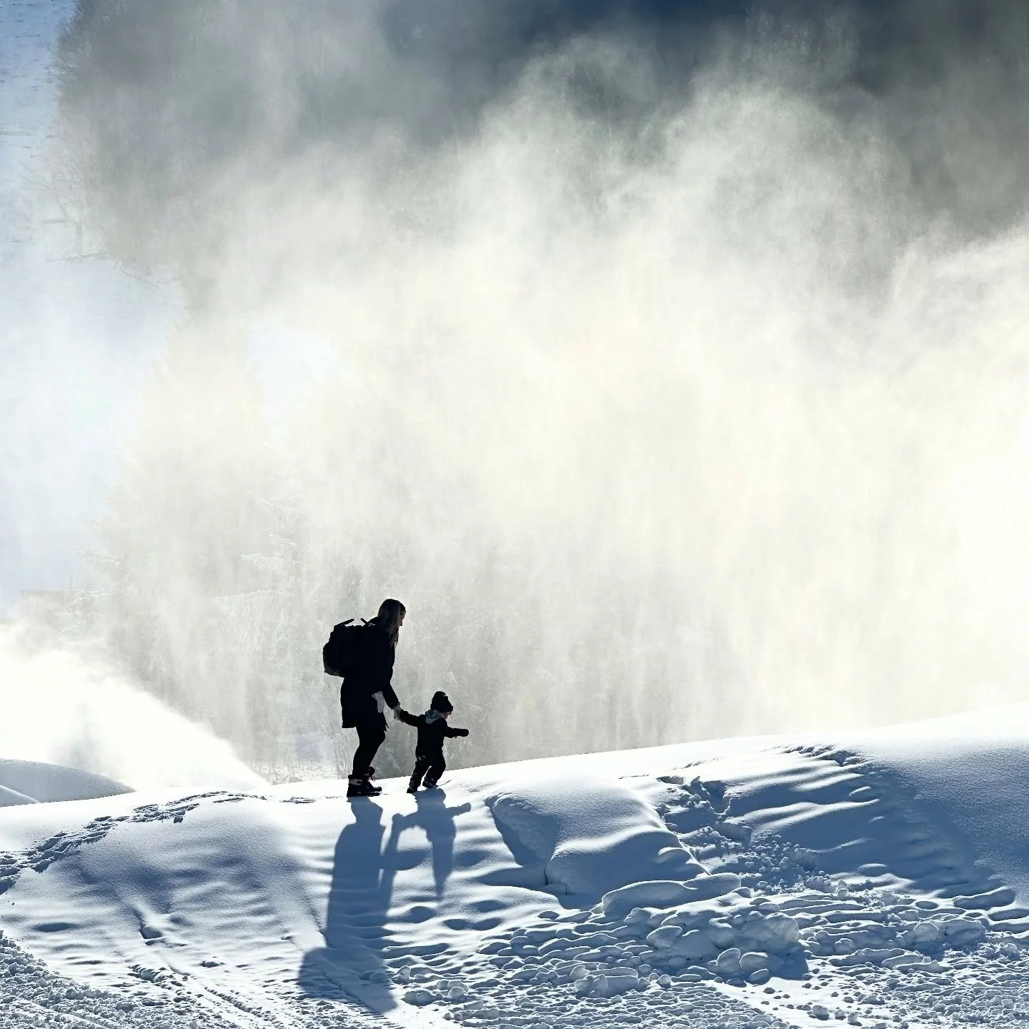 &ldquo;Those at the top of the mountain didn&rsquo;t fall there&rdquo; &mdash; Clearly said by a man who never saw my boy climb a snow whale. 🤣