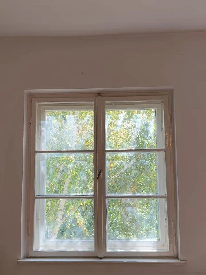 Goodbyes 🤍
#goodbye #munich #horses #love