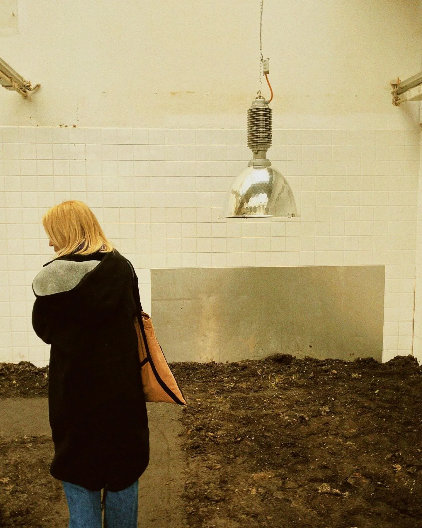 Nature always finds her way back. 
Nothing is what it seems.

#nature #naturaleza #natureza #soil #regenerate