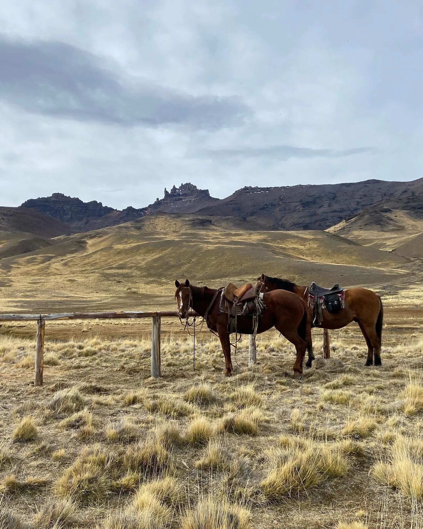 My heart still skips a beat when I look at these. The rhythm has changed though. Just like time. 

Little did I know. Not that my Venus line runs right through this place. Nor that it would catch me off guard. And literally off my feet.

Travelling P