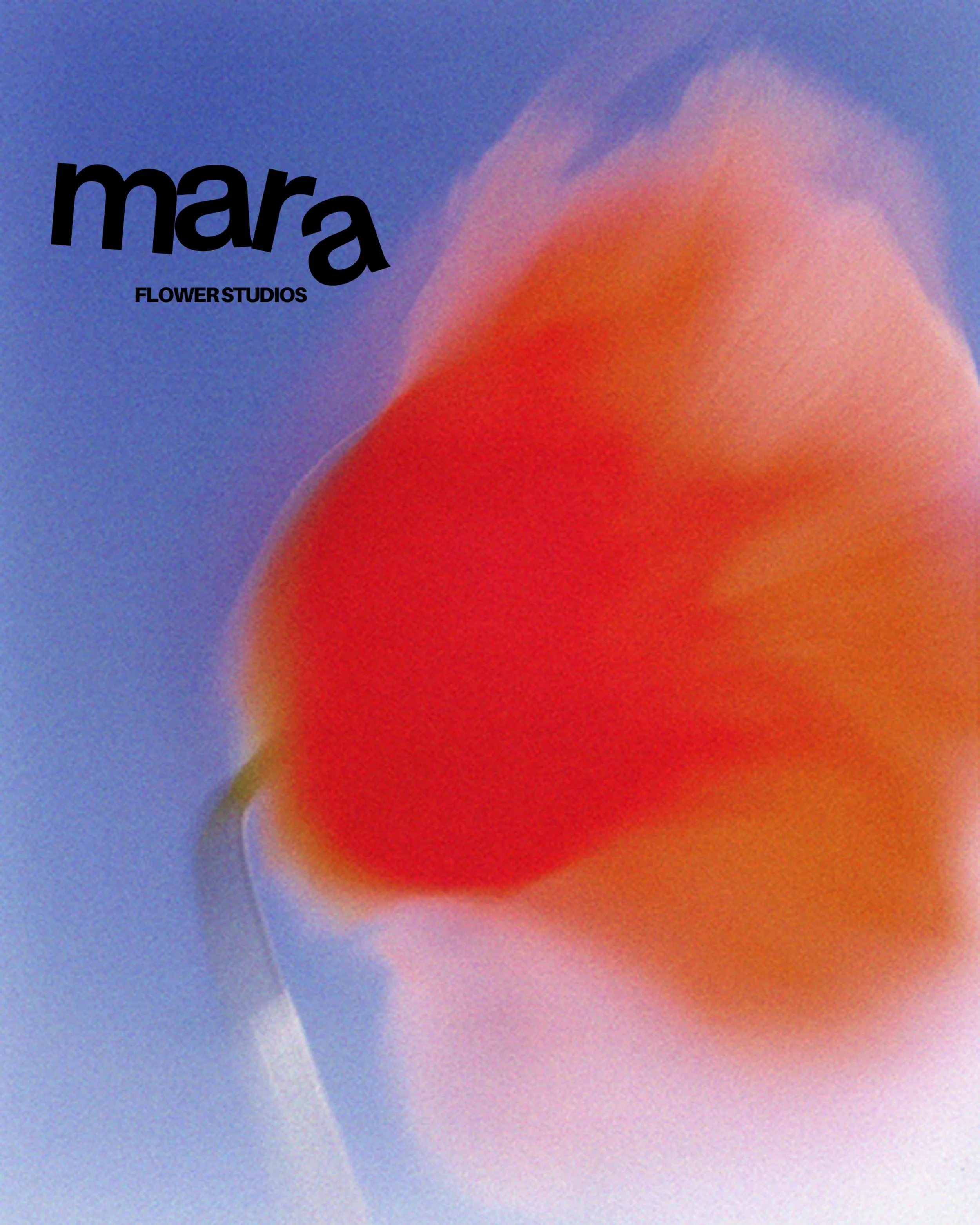 A blurred close-up photo of a red and orange tulip against a blue sky with the text 'mara FLOWER STUDIOS' in black font on the upper left corner.