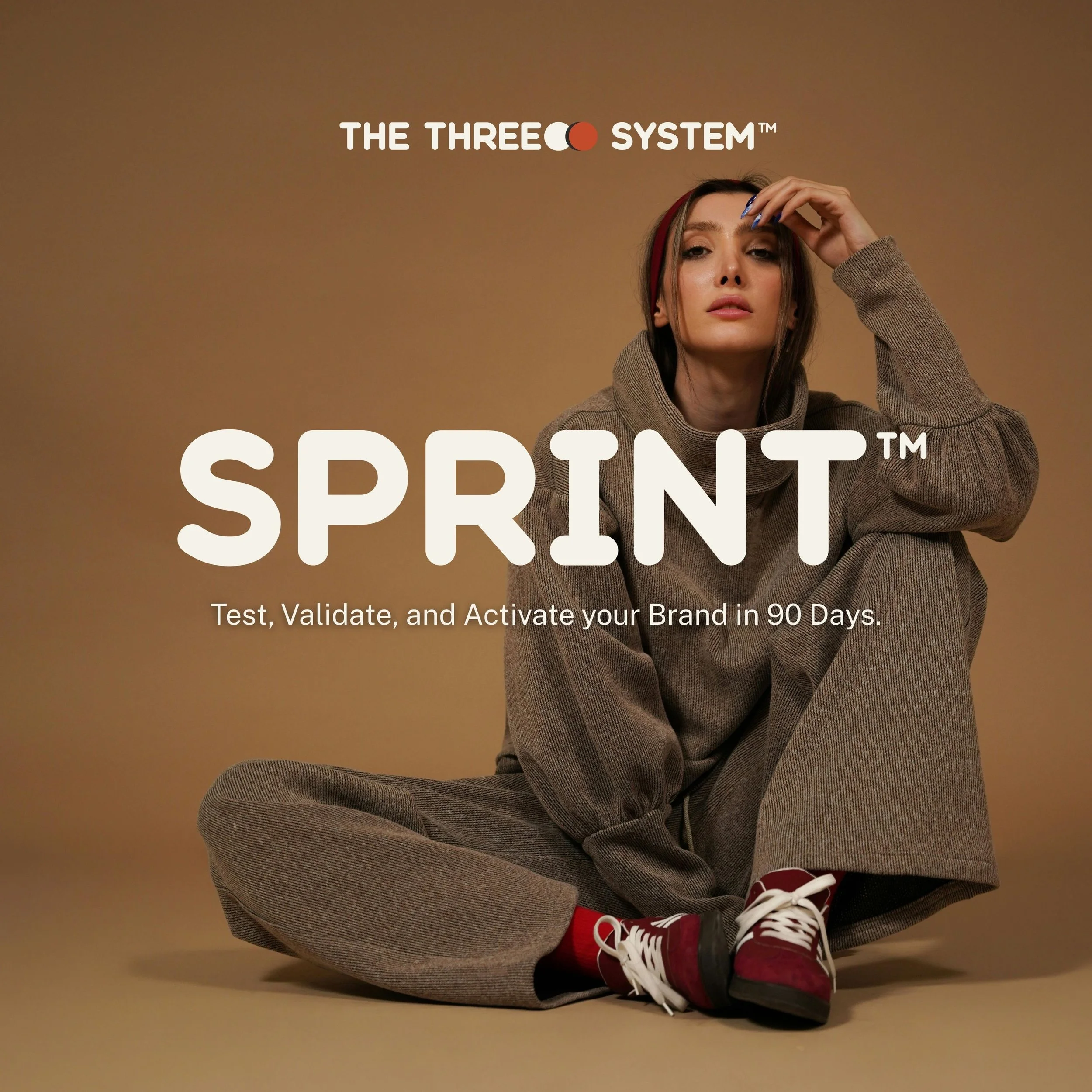 The Threeoo System Marketing Methodology SPRINT