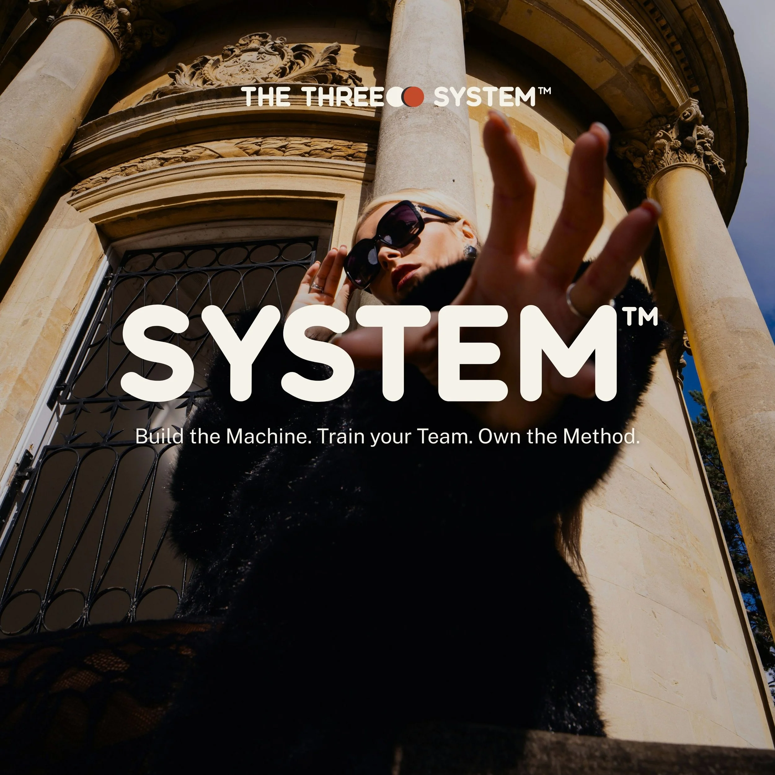 The Threeoo System Marketing Methodology SYSTEM