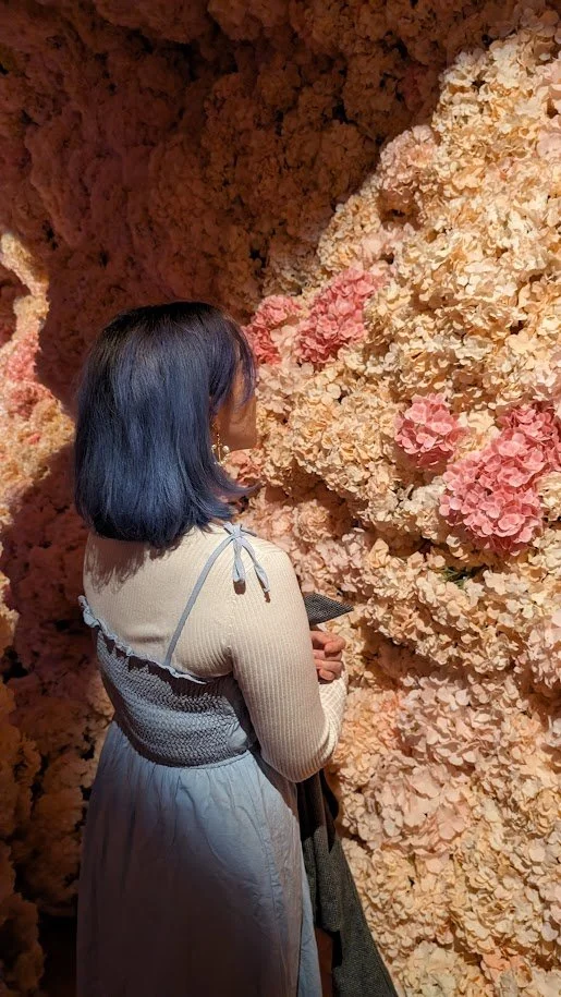 A photo of a girl with blue hair, looking at a wall of pink and cream hydrangeas.