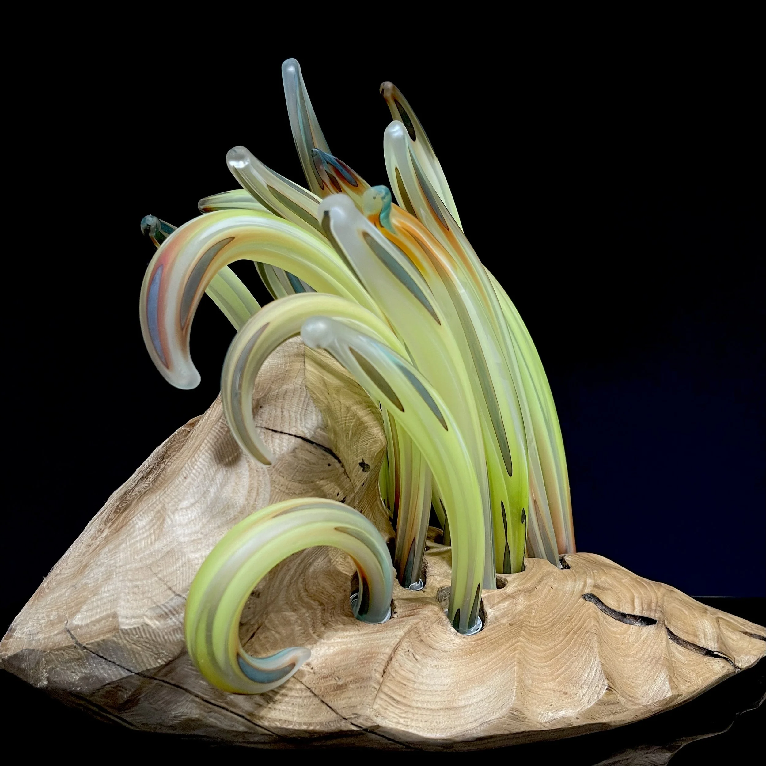 sea rock