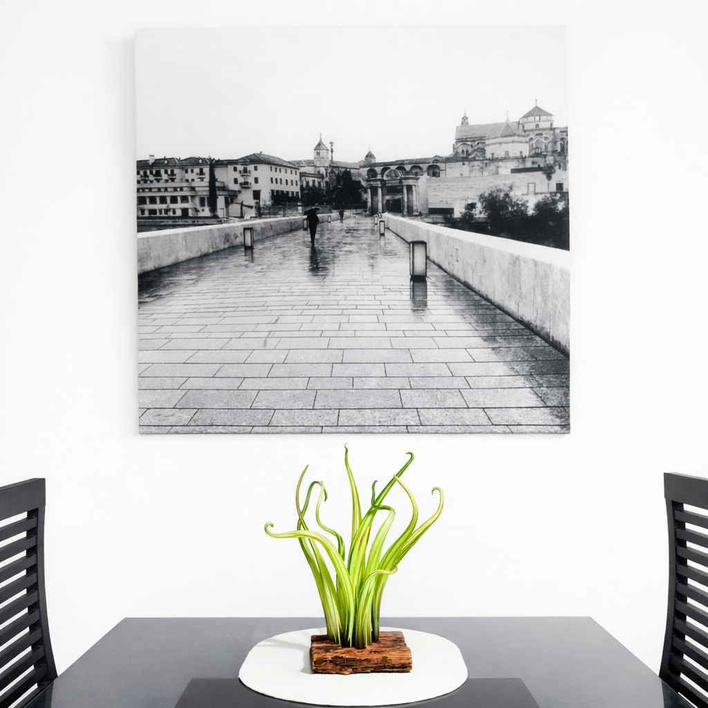 Davide penso murano glass hand made seaweed Image 17 gen 2026, 12_09_17.png