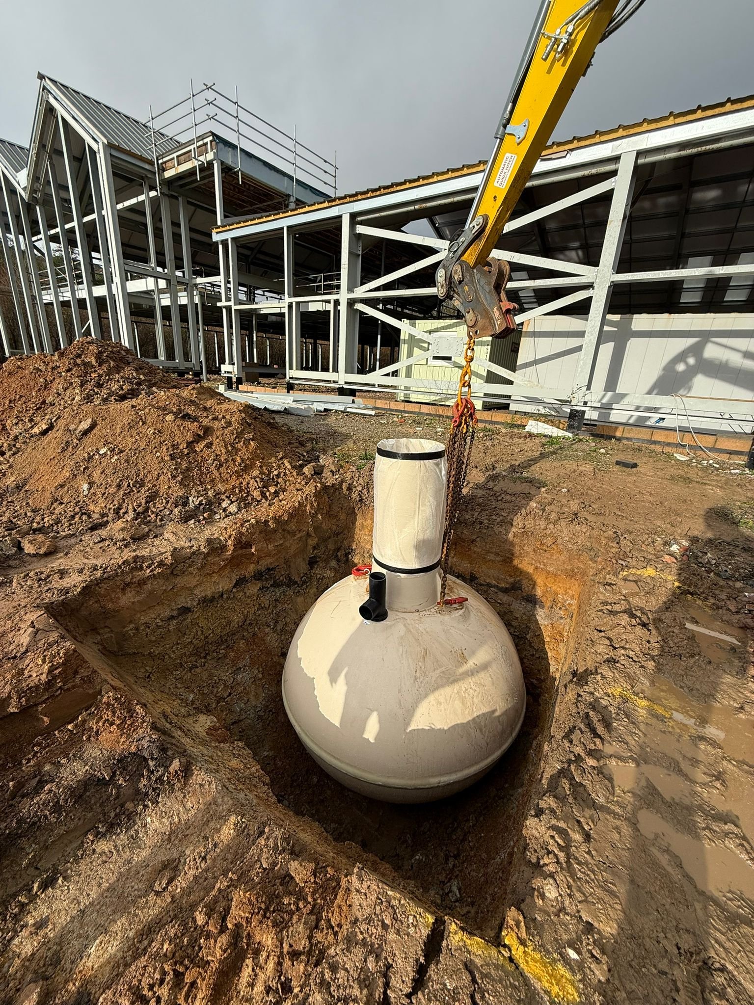 WhatsApp Image 2026-02-11 at 12.36.43 (2).jpeg