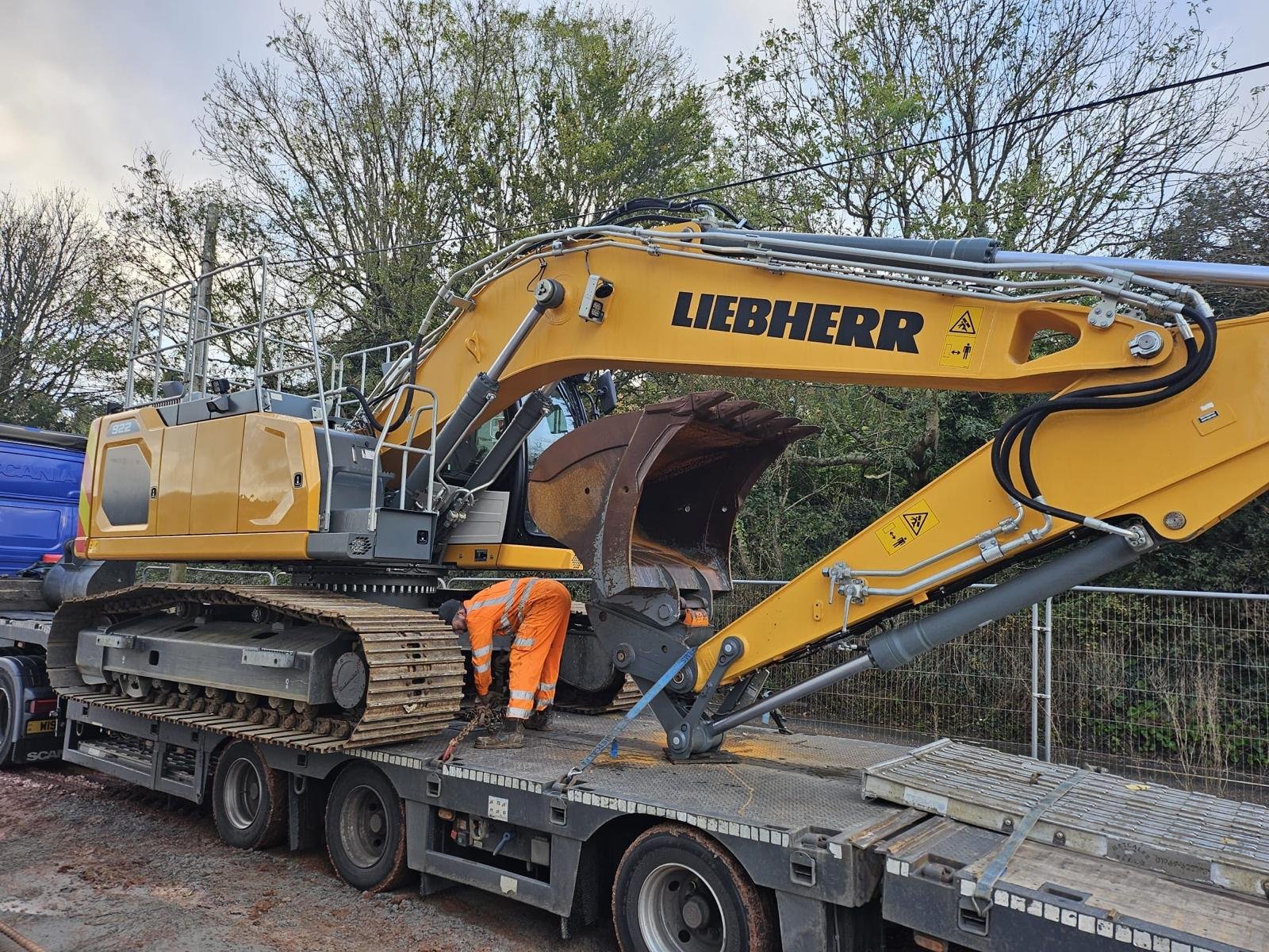 WhatsApp Image 2026-02-11 at 13.05.36.jpeg