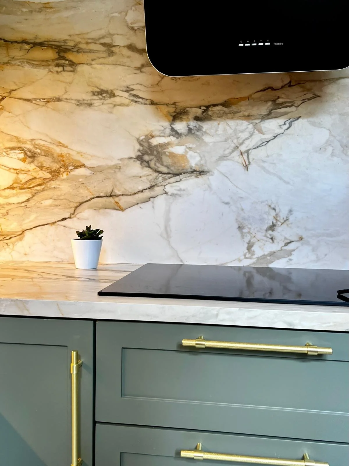 Une cuisine moderne avec un plan de travail en marbre, un cooktop électrique, un mur en marbre et un meuble vert avec des poignées en laiton, et une petite plante en pot blanche.