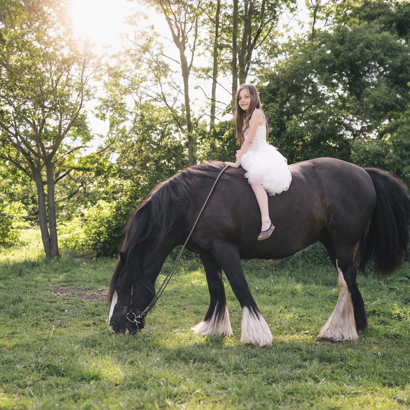 Okay, this time I have to elaborate a bit more in the caption: This photo is really special to me because I tried out the new Photoshop AI for the first time. Swipe over to see the original image for comparison. 😨🤯 I not only removed the fence and 