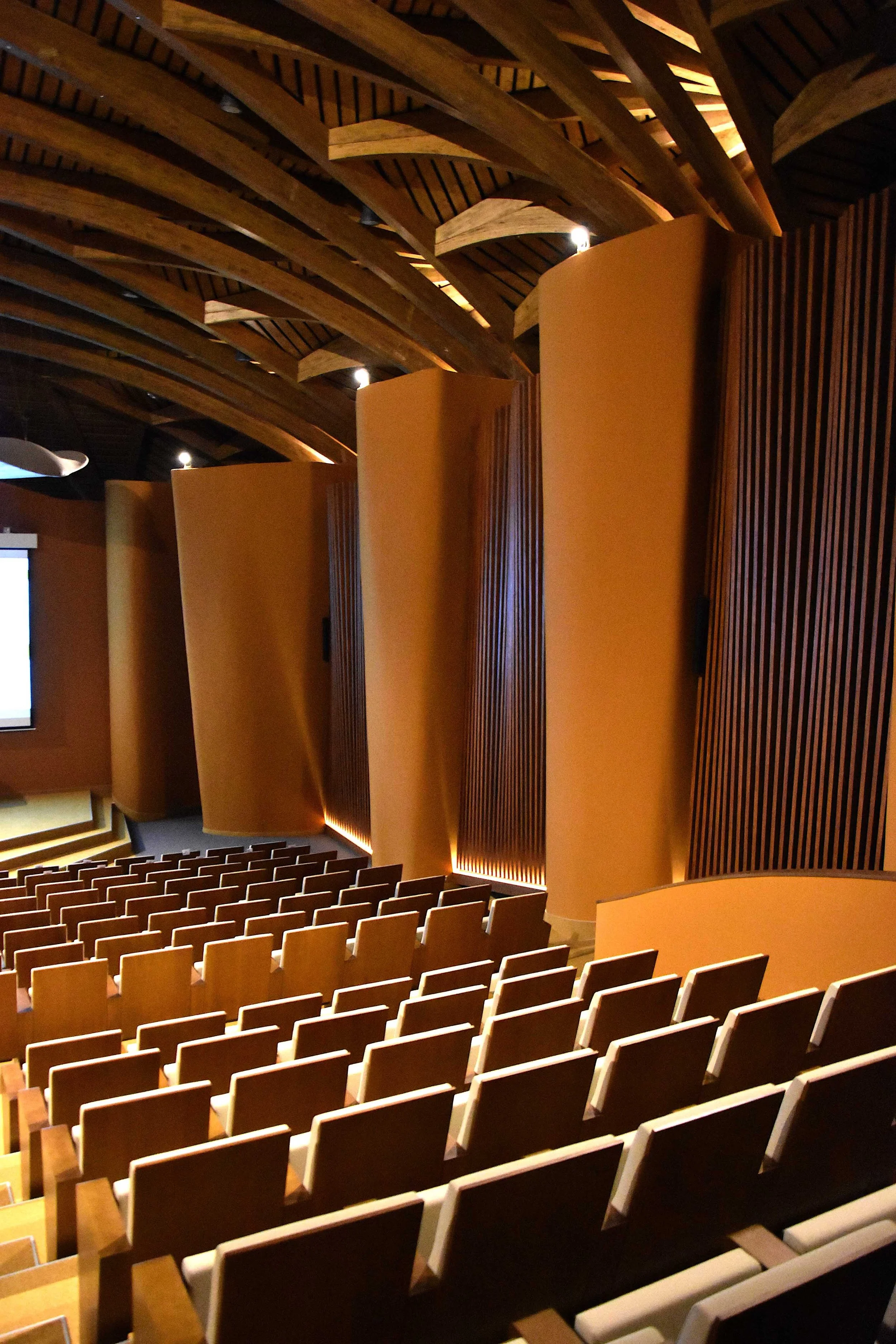 Pasted Graphic 22.jpg