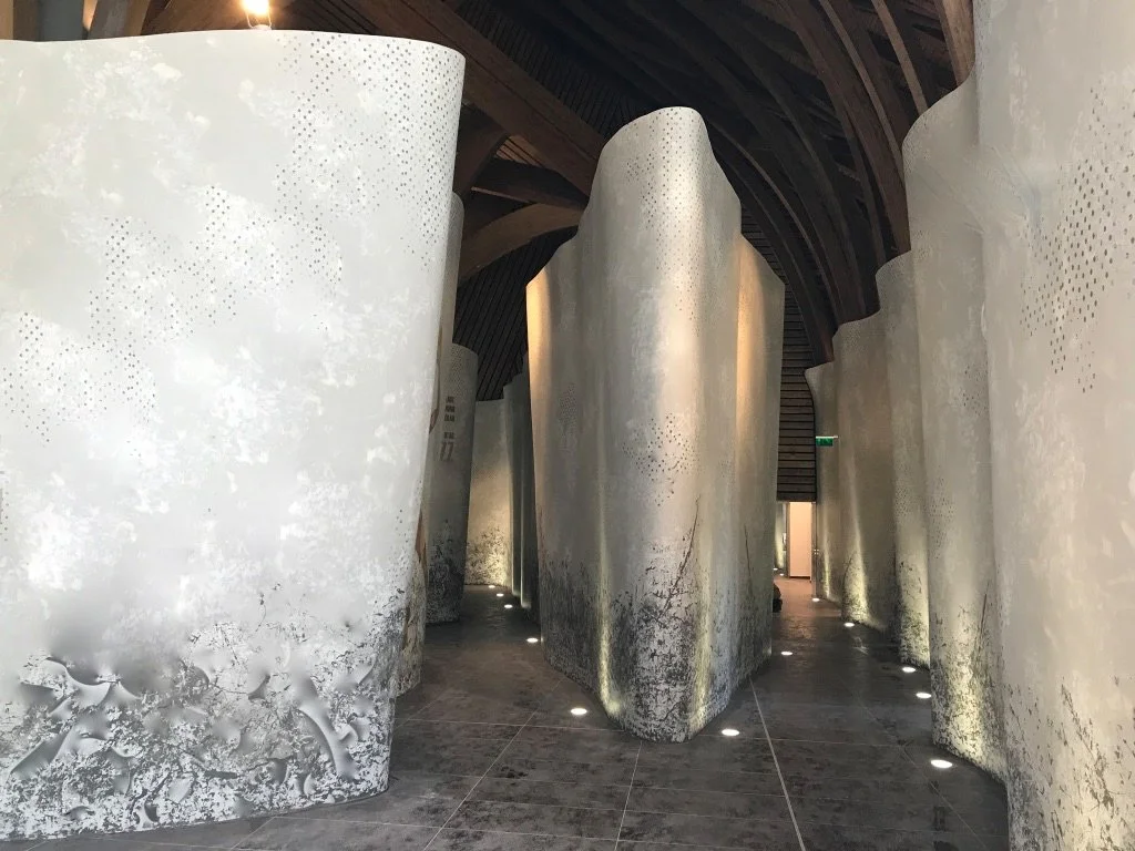 Pasted Graphic 26.jpg