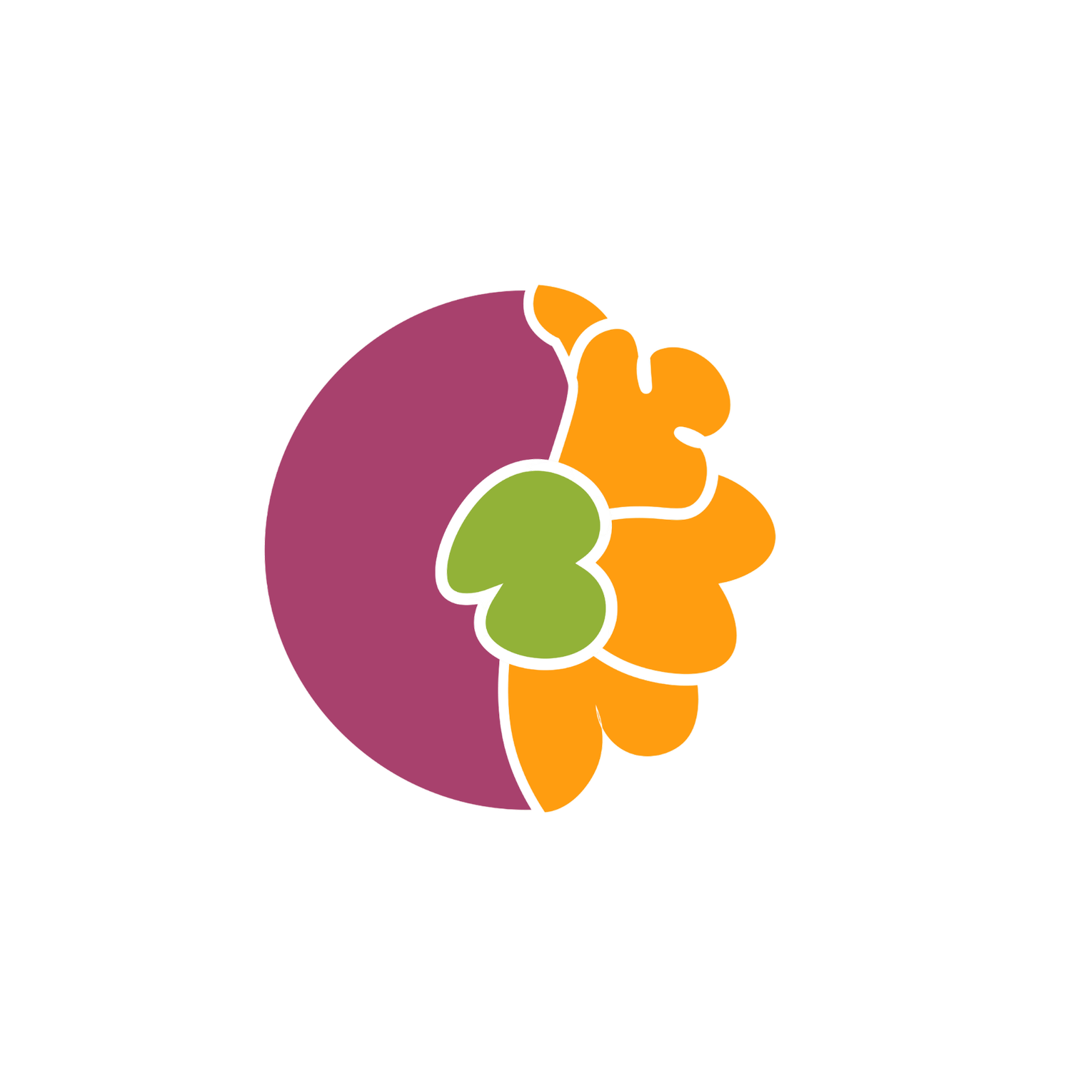 Sonder + Whimsy Floral