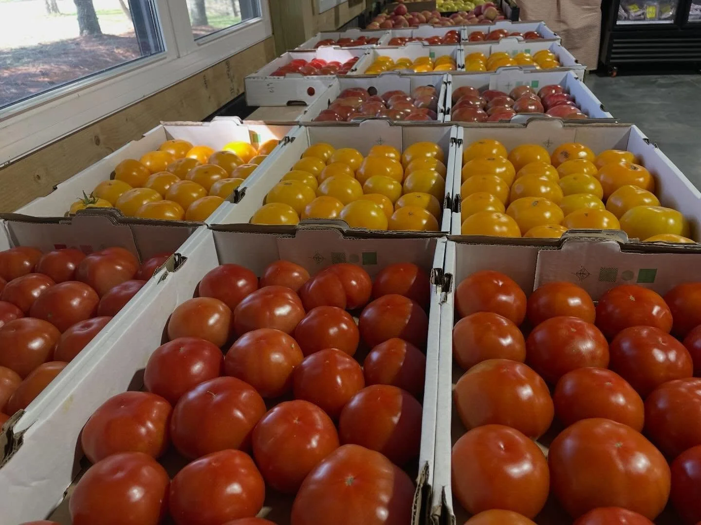 Tomatoes are in stock! @poolemill has their hydroponically grown tomatoes, cucumbers and crisp lettuce available for purchase! Grab some while they last! #knowyourfarmerknowyourfood #buylocalsupportlocal