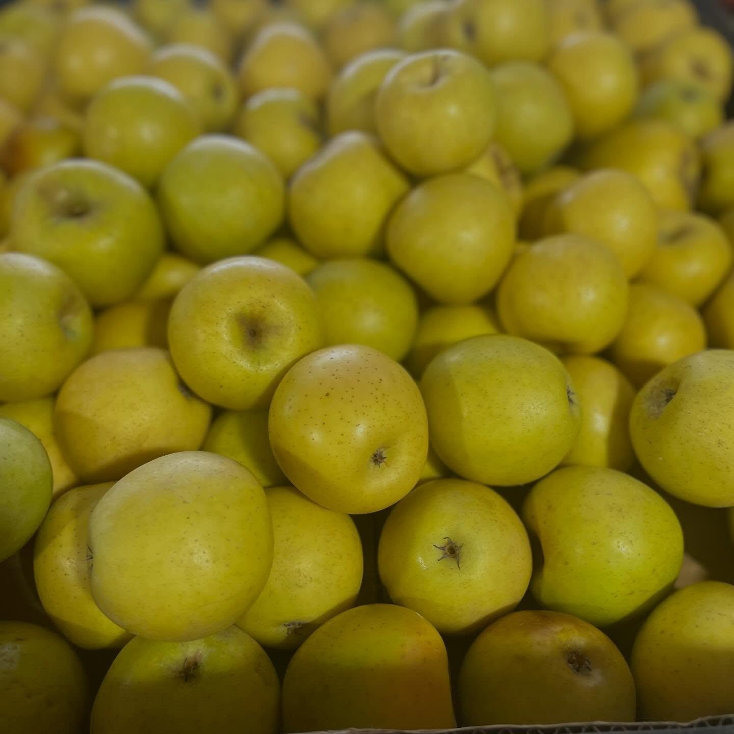 @oldelaneorchard returns to the BLFS with such lovely and delicious items. Many varieties of apples, apple cider, flowers, peaches, pears, herbs and more bring color, great taste and nutrition to your shopping experience. #knowyourfarmerknowyourfood 