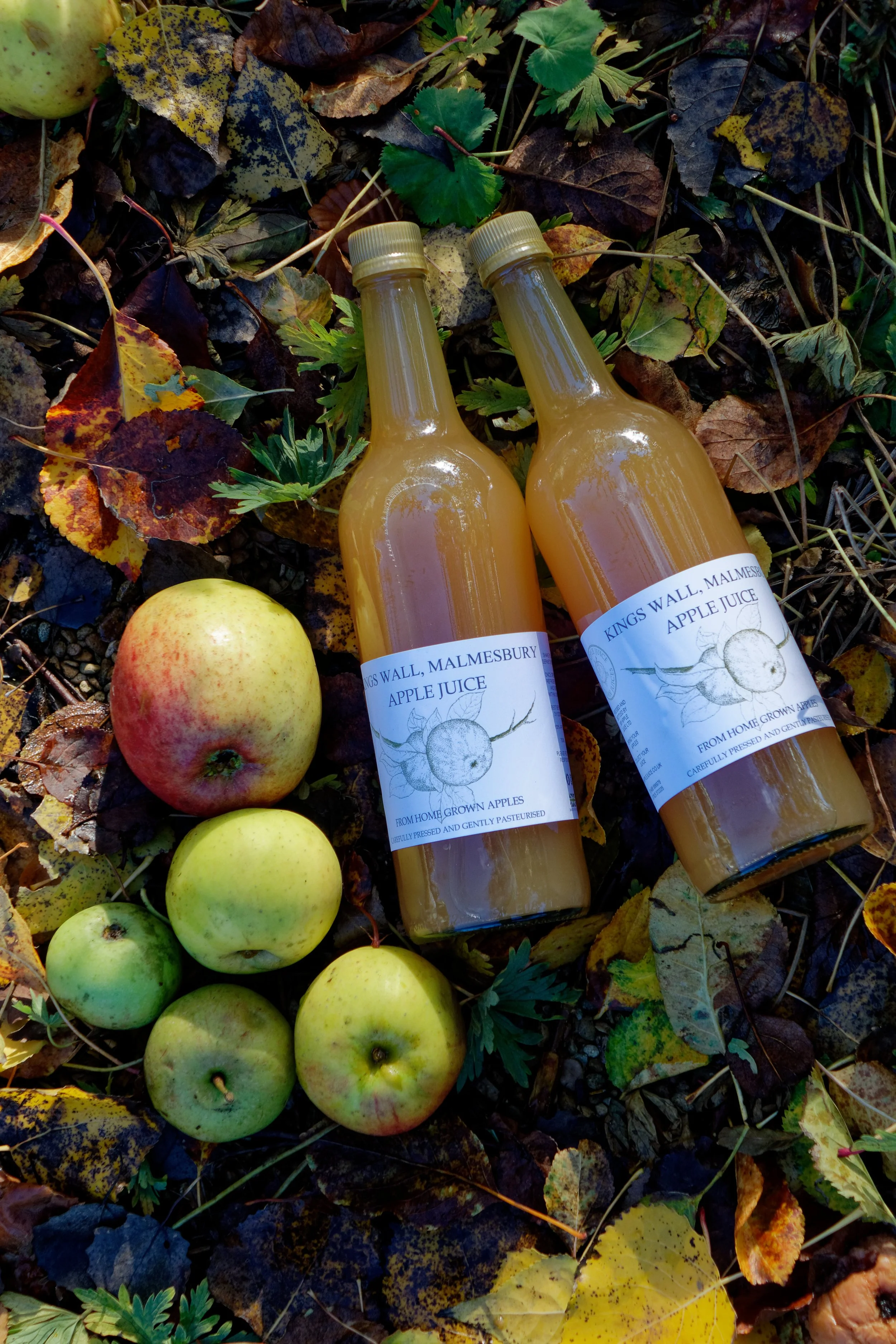 Two bottles of apple juice labeled 'Kings Wall Malmesbury Apple Juice' are lying on fallen autumn leaves and green apples, with some green and yellow foliage around.
