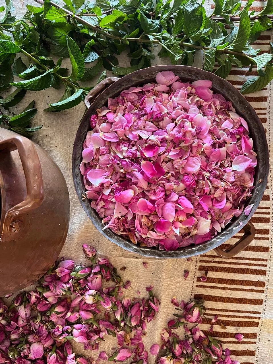 WhatsApp Image 2026-02-12 at 13.33.29 (1).jpeg