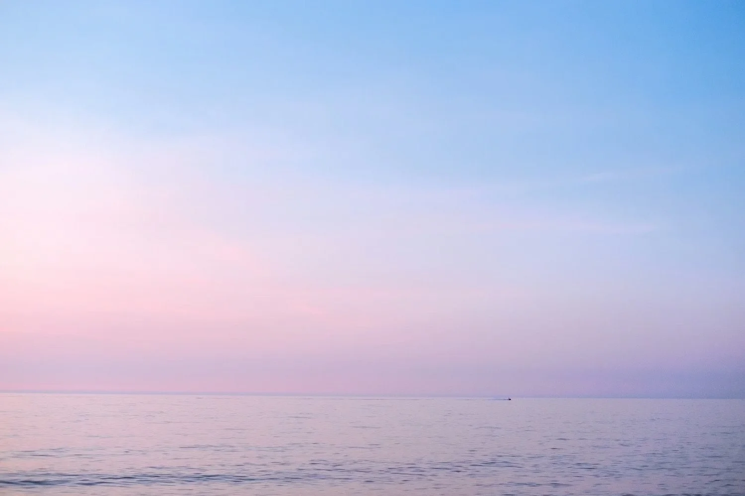 Psilocybin and End-of-Life Anxiety