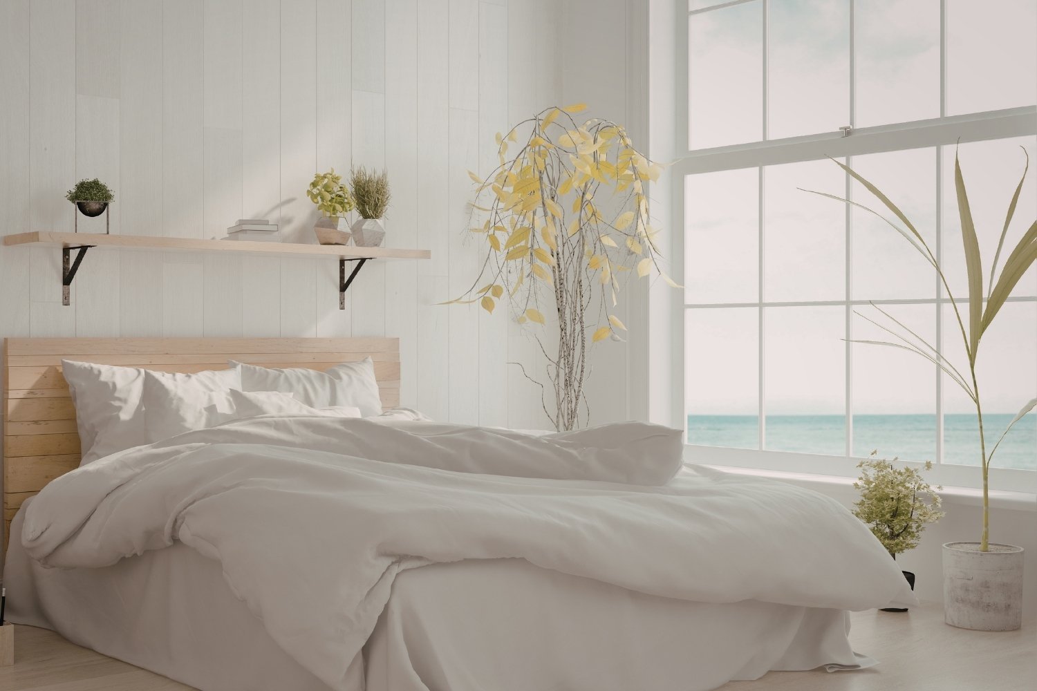 Hospice: What It Is, What It’s Not, and What to Expect