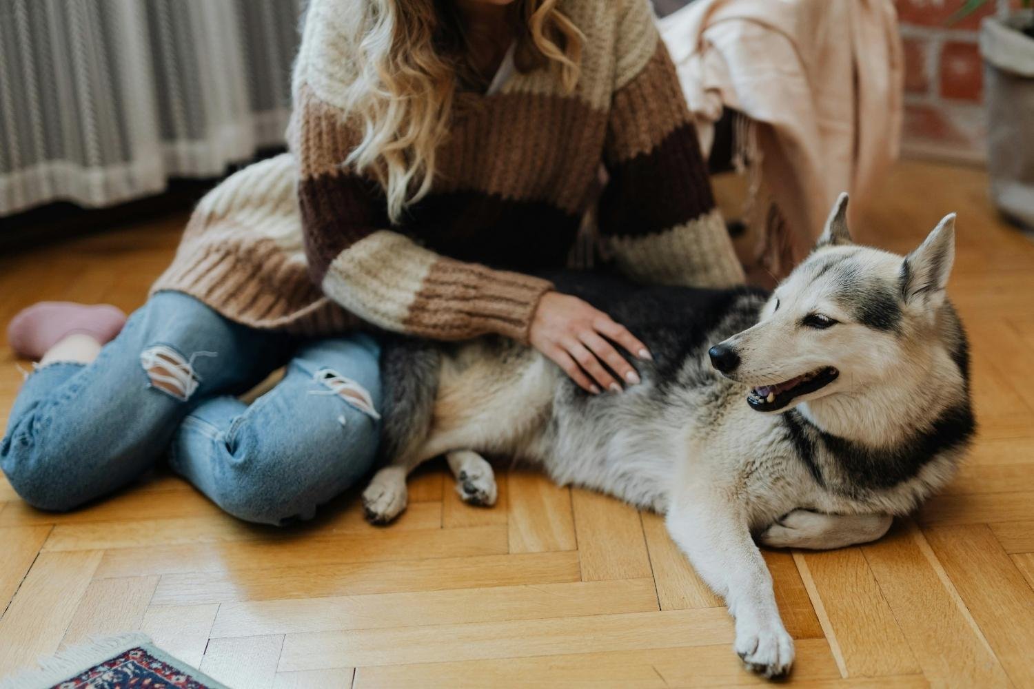 When a Pet Dies: Understanding Pet Loss Grief