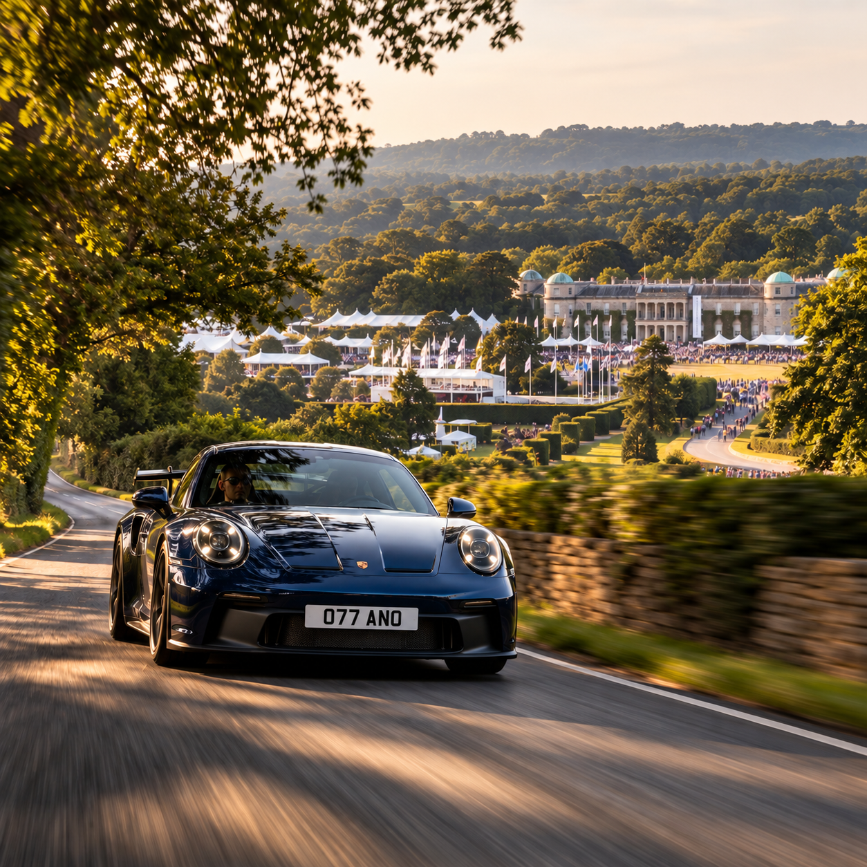 Goodwood Festival Speed - Drive - North.png