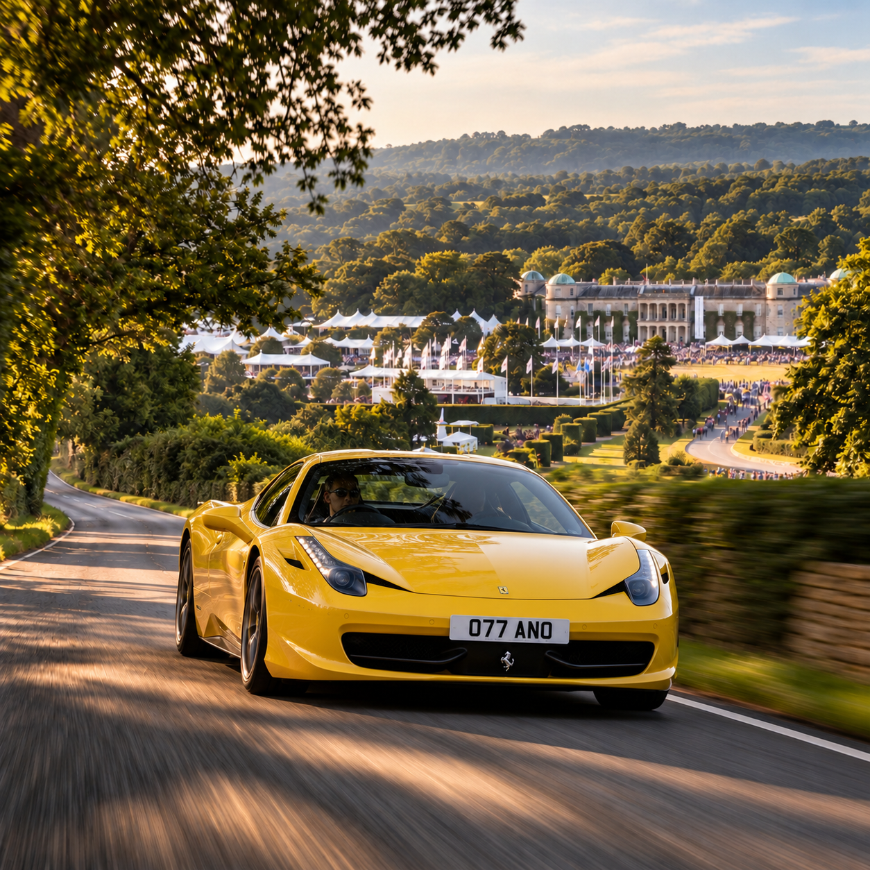 Goodwood Festival Speed - Drive - South.png