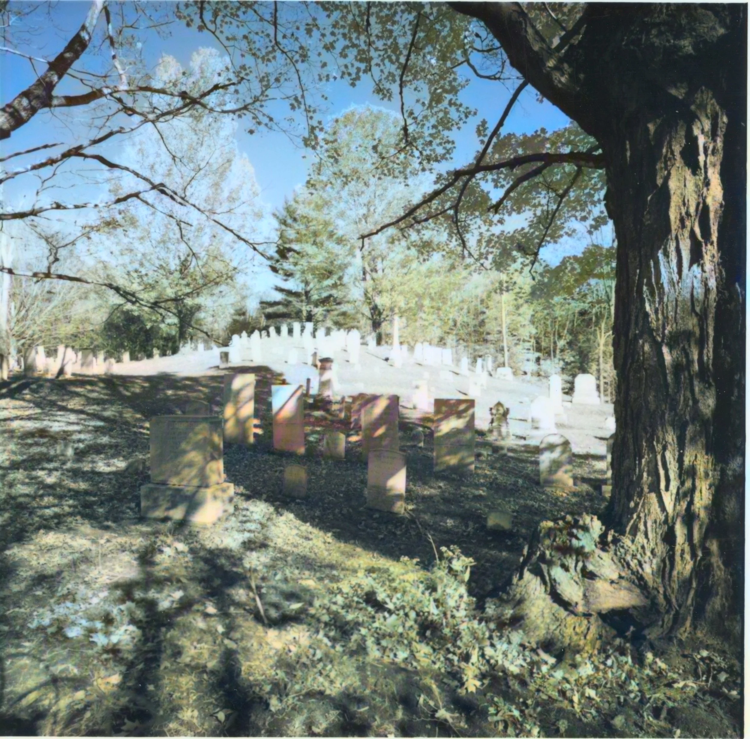 SHS-2026-05-05-0003.jpg