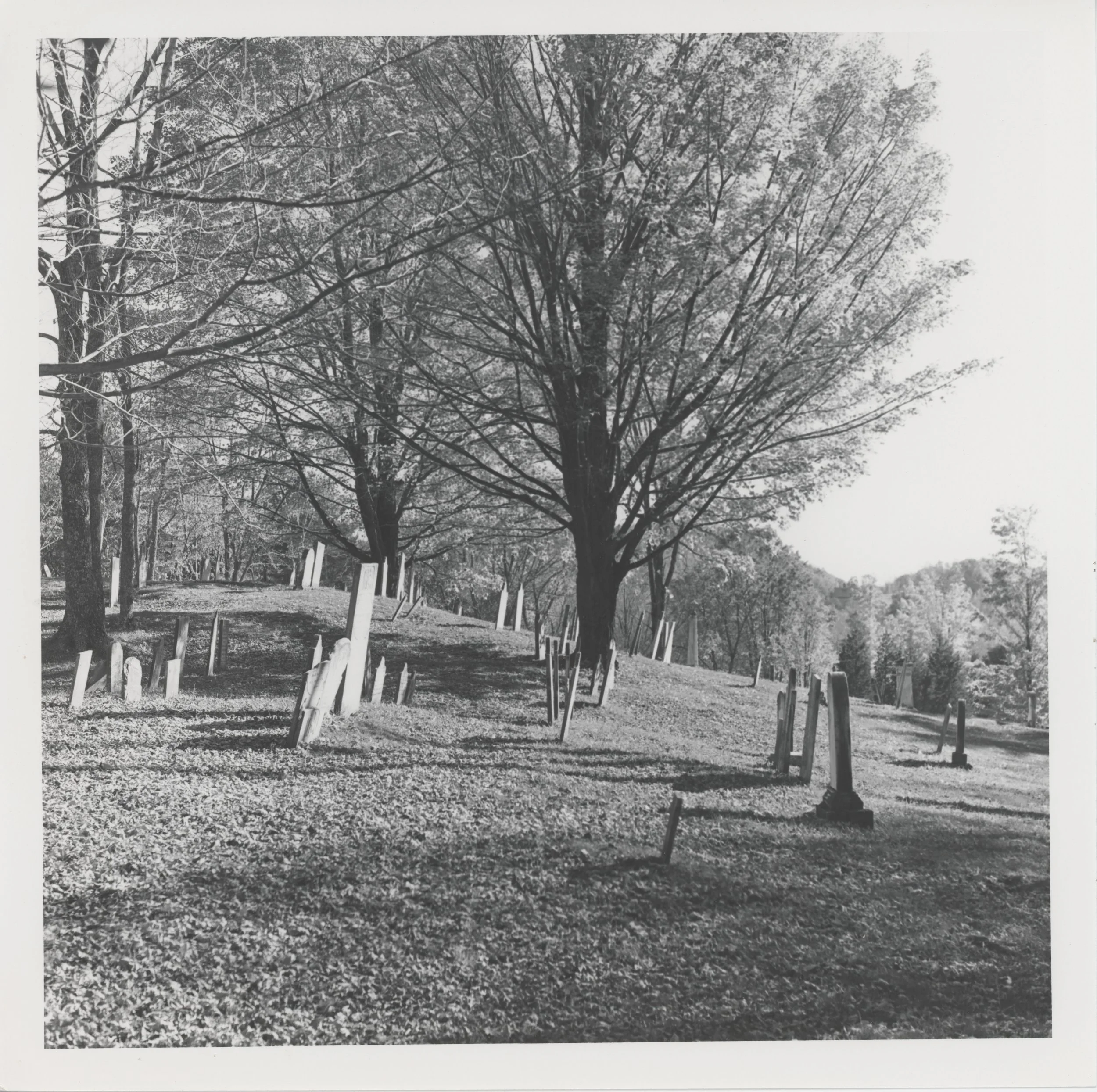 2026-05-05-0001.jpg