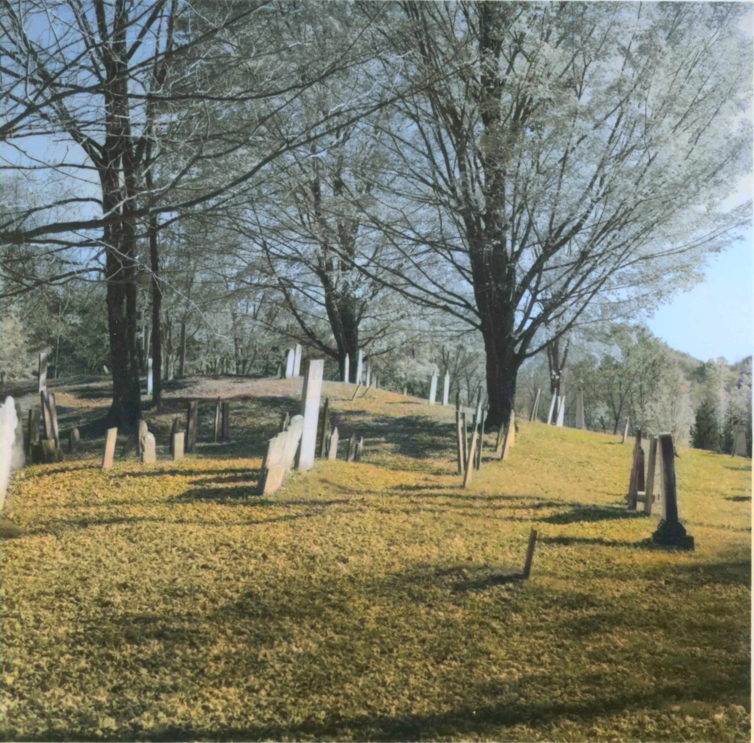 SHS-2026-05-05-0001.jpg