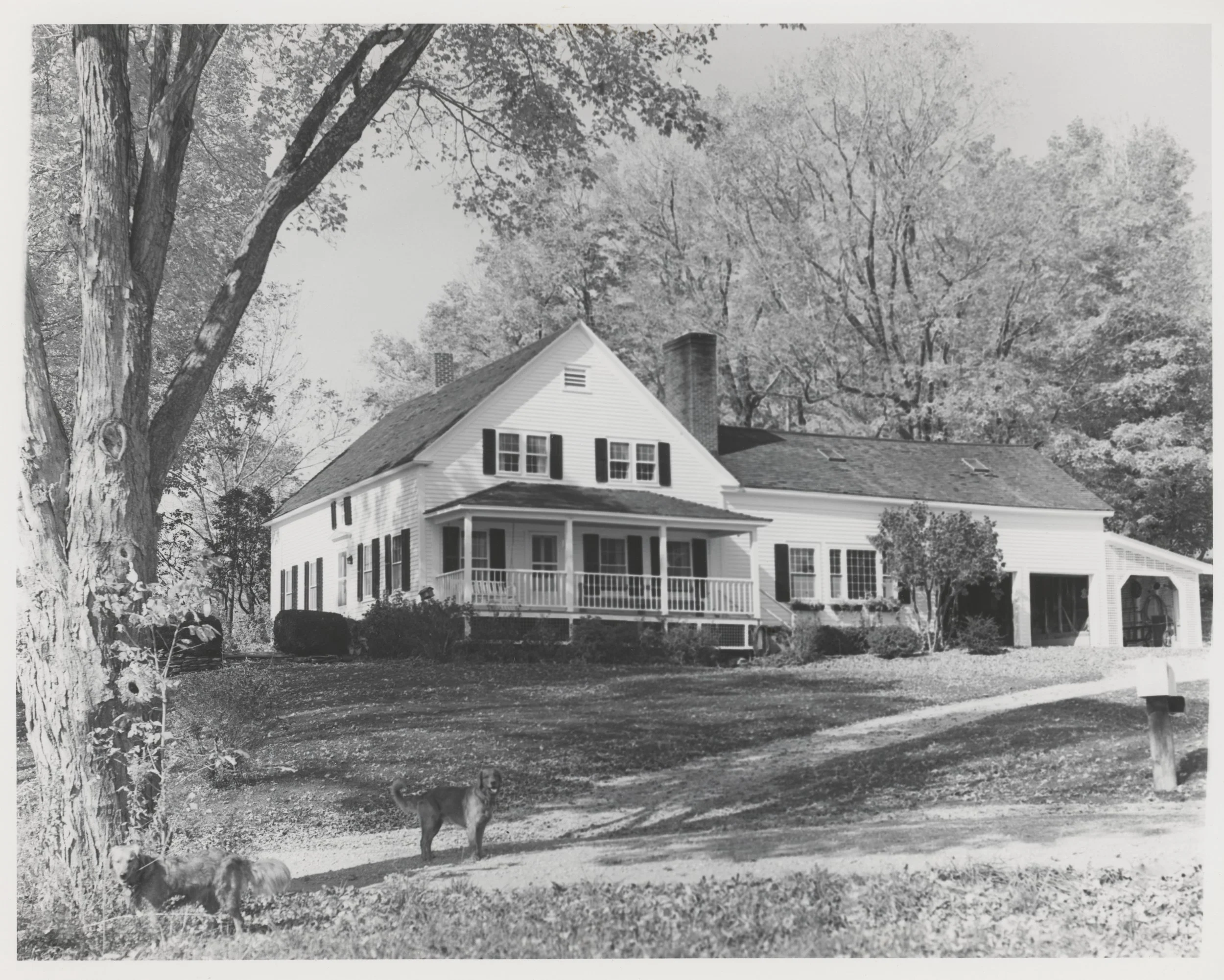 2026-05-05-0051.jpg
