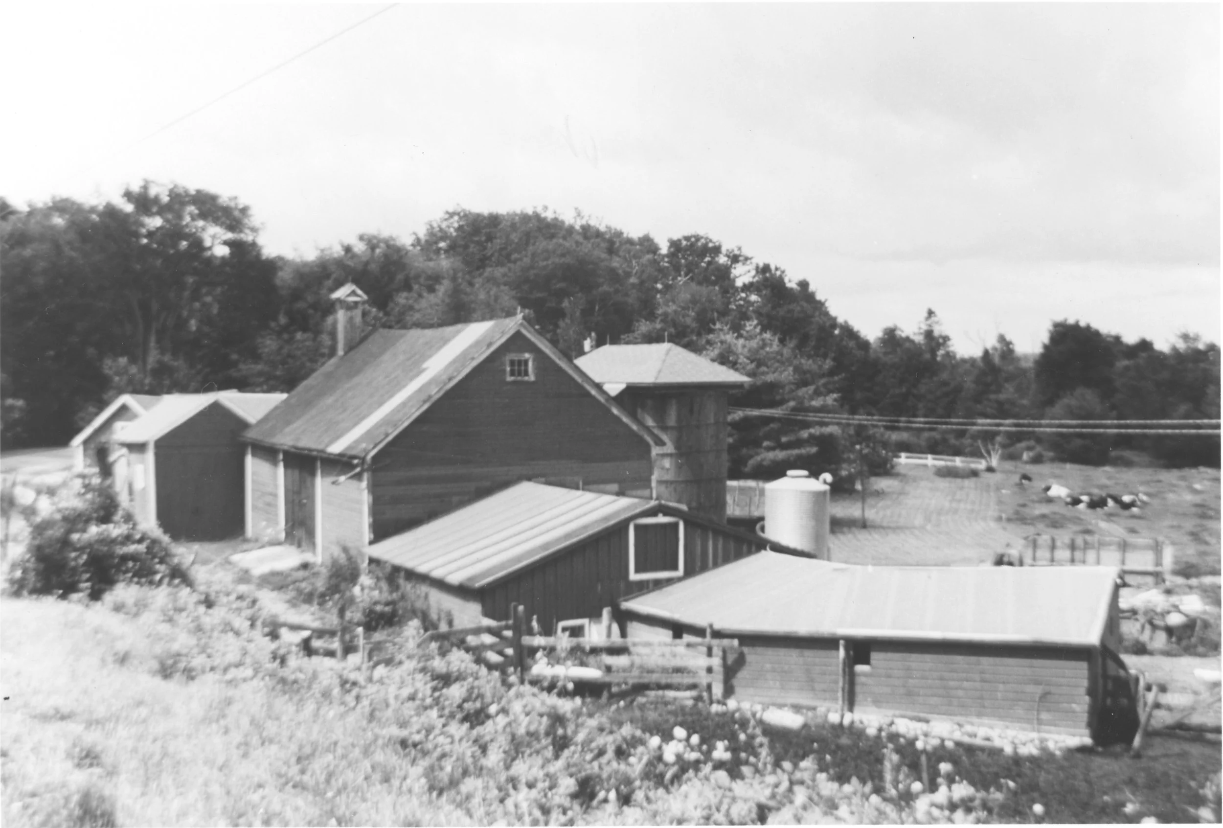 2026-05-05-0041.jpg