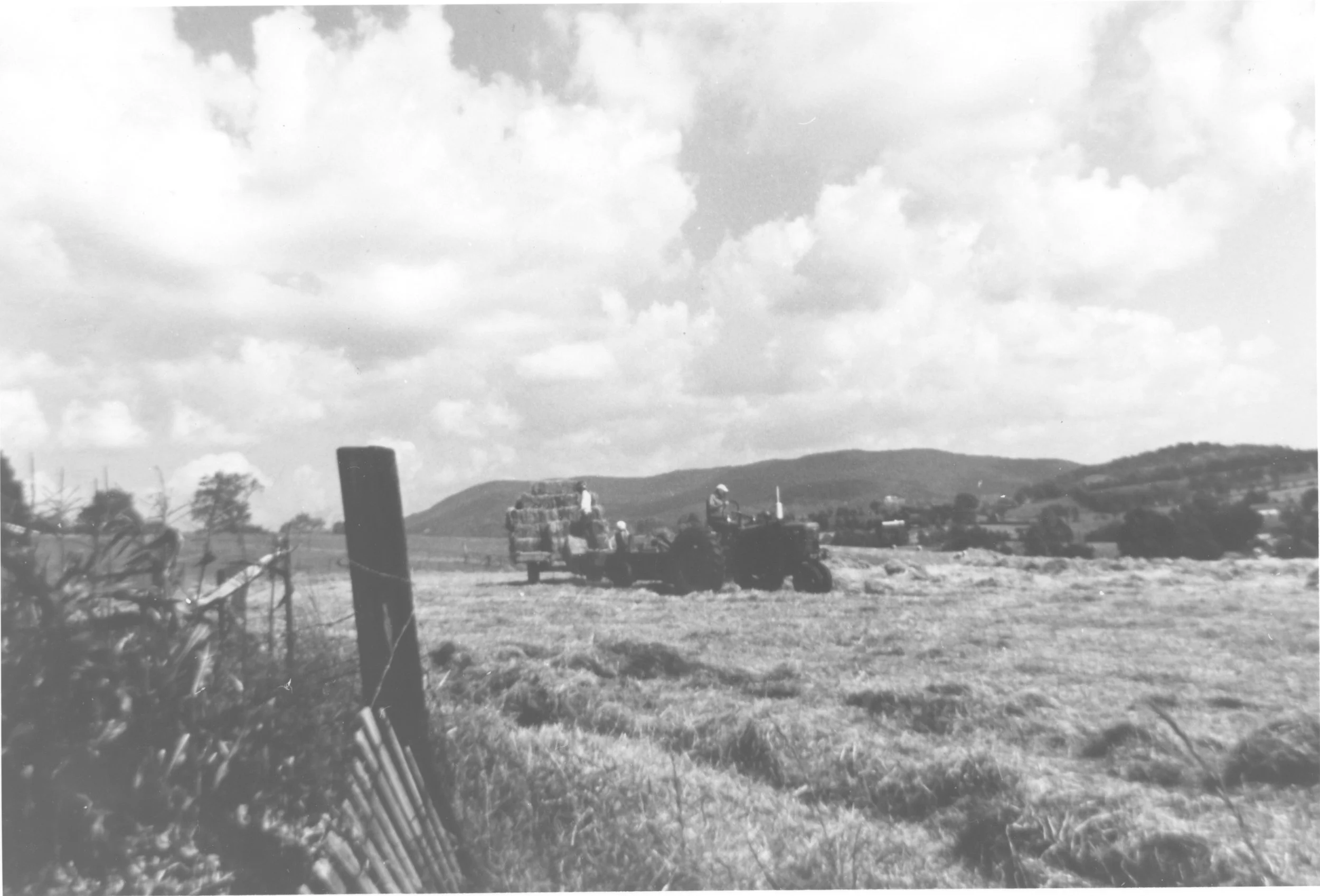 2026-05-05-0042.jpg