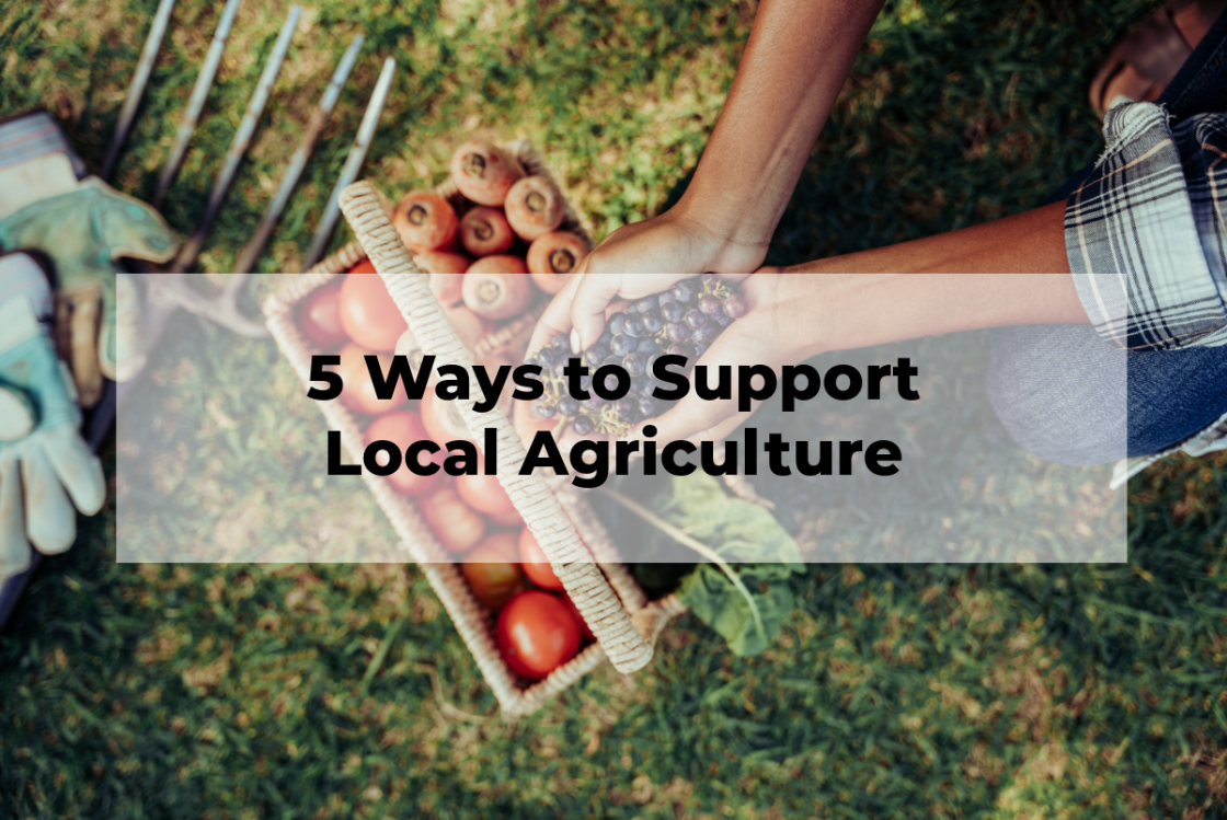 5 Ways to Support Local Agriculture in Your Michigan Community