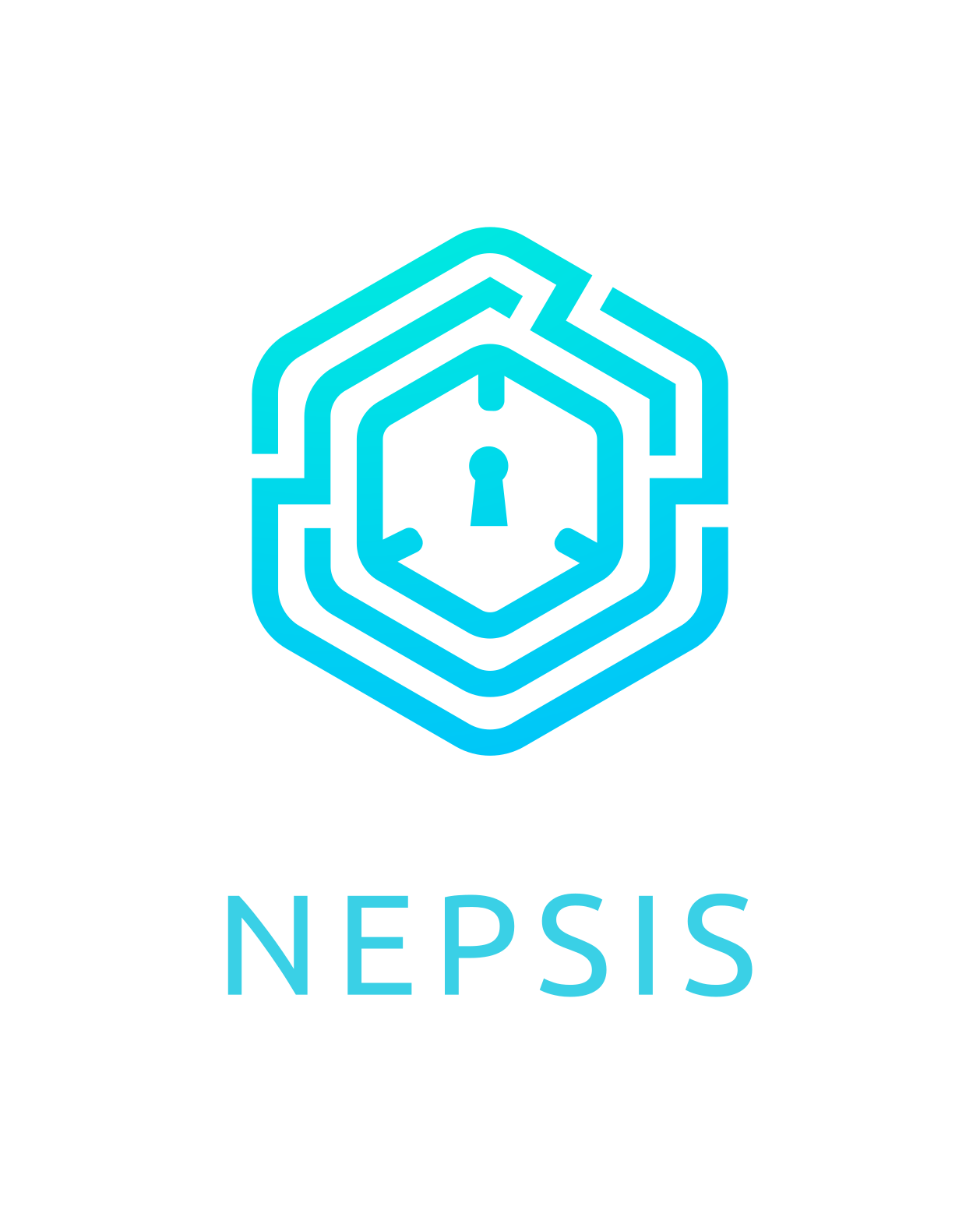Nepsis