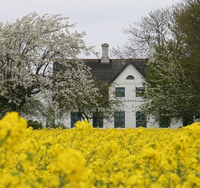 Turn Intention Into Action