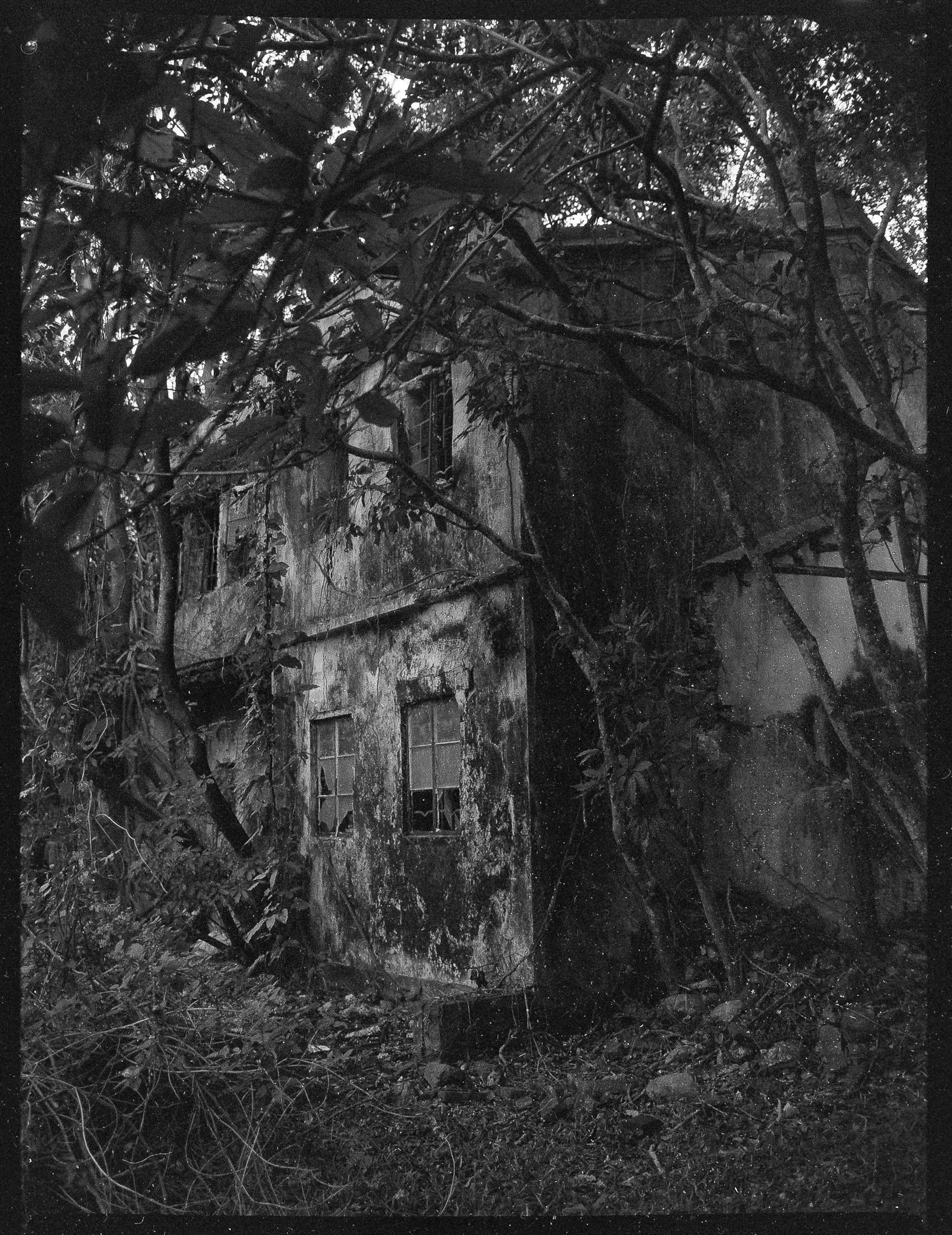 A damaged house with broken windows surrounded by damaged trees and debris, implying a recent storm or disaster.