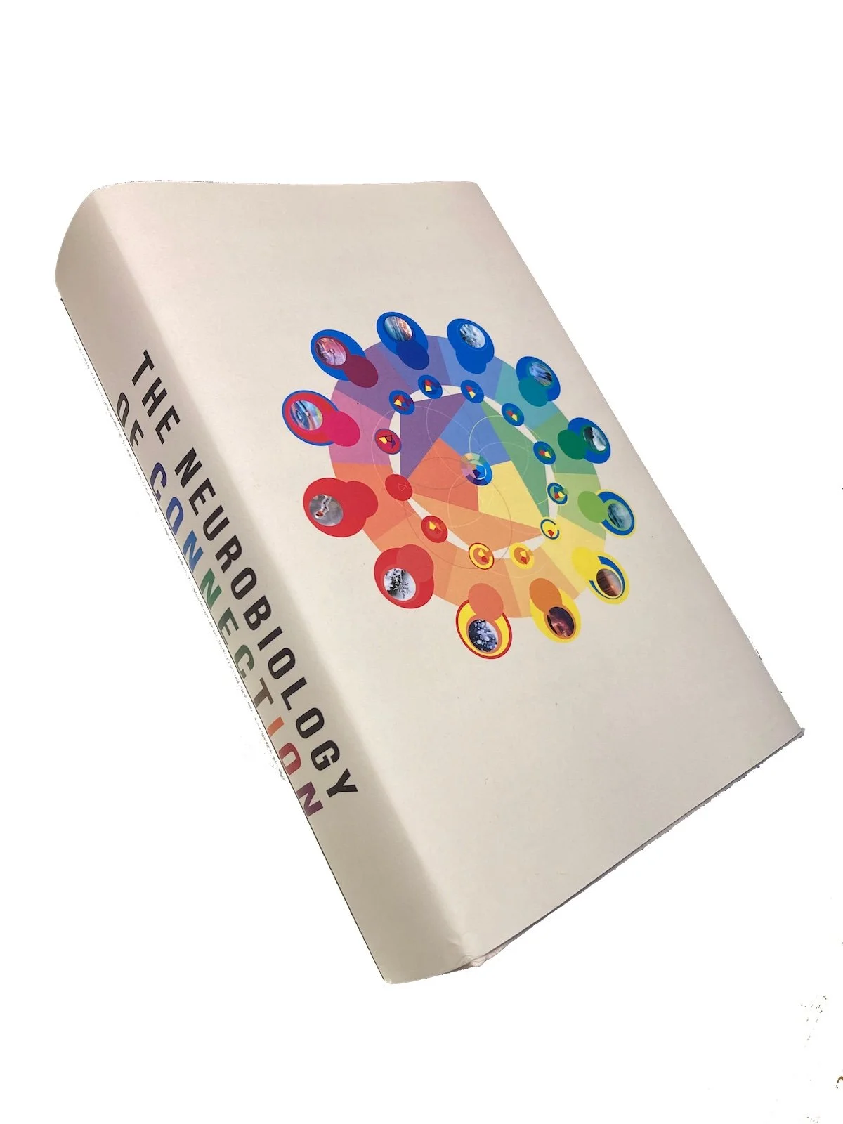 The Neurobiology of Connection: Re-Wilding the Deep Nervous System for Wellbeing