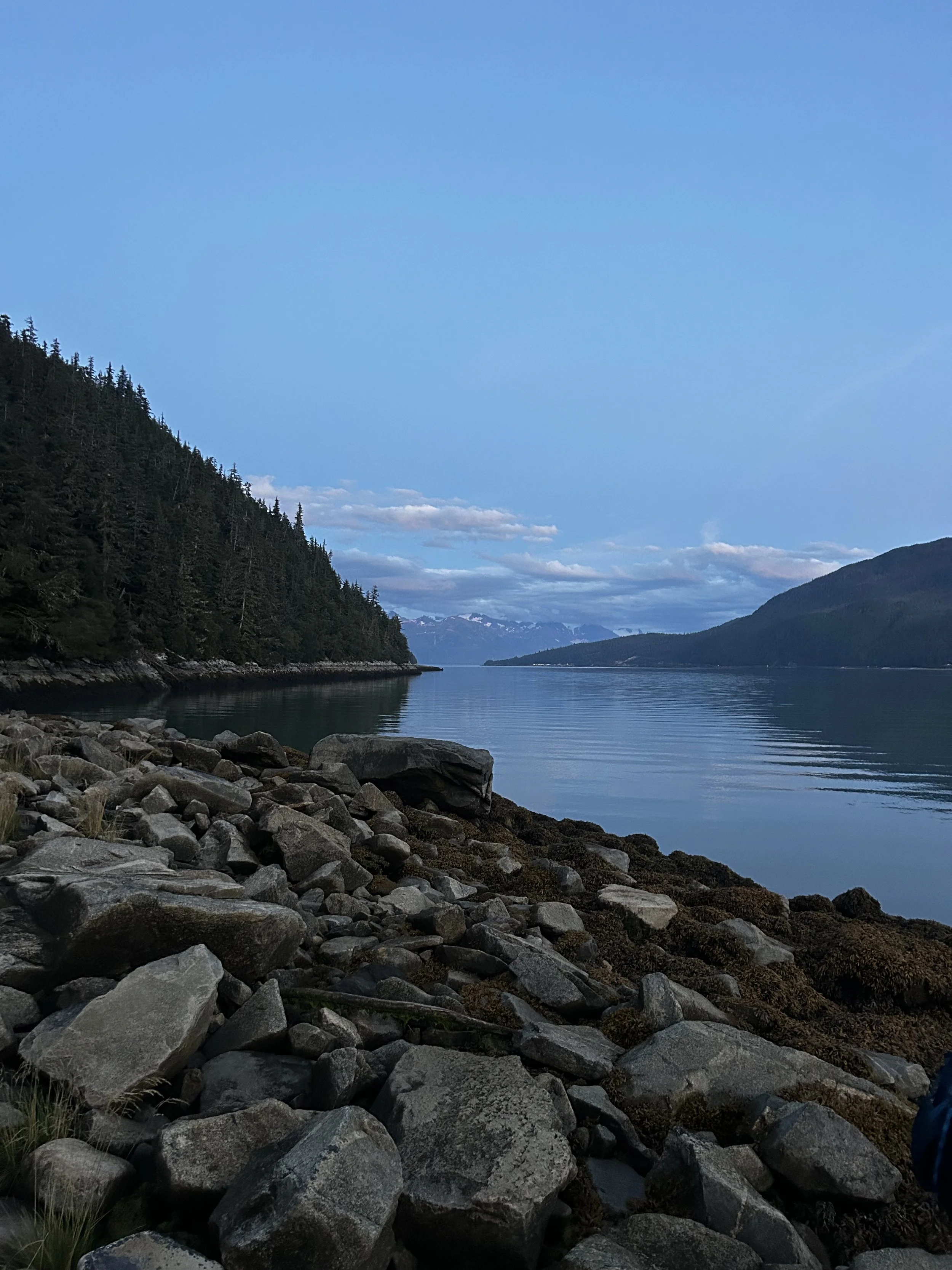 Lutak inlet looking out to the Lynn canal