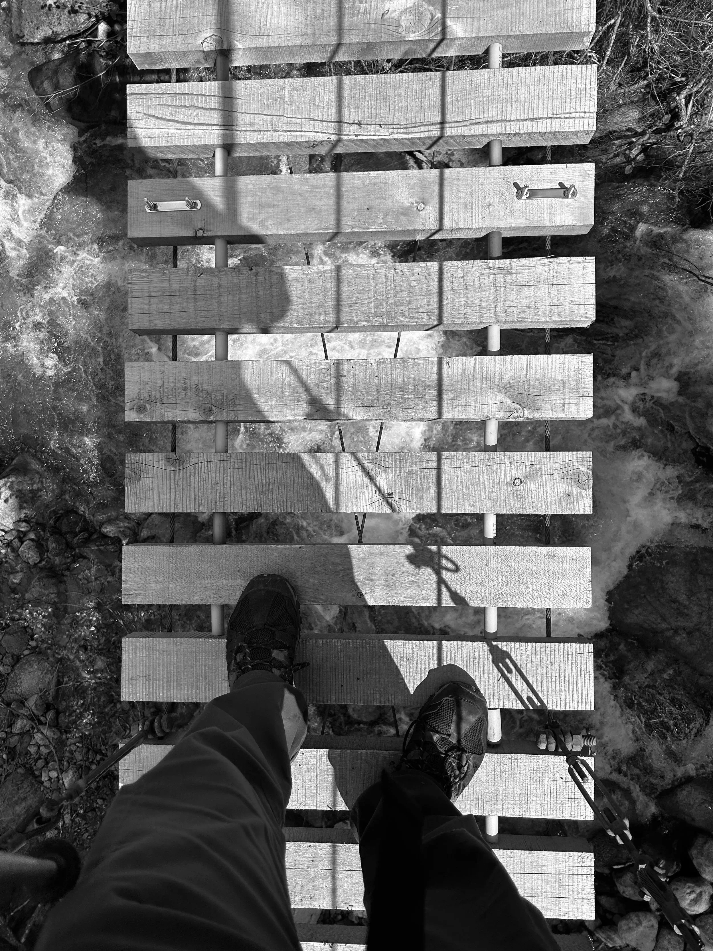 Collections of ‘24/’25