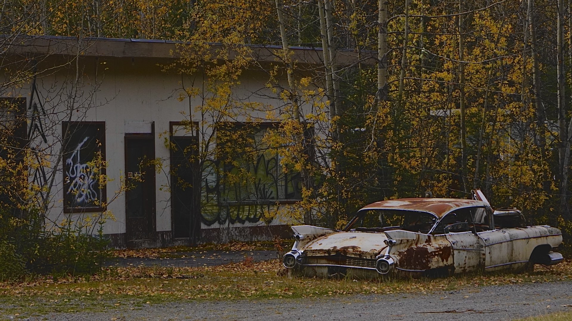 Alaska Highway, BC, 9.19.25